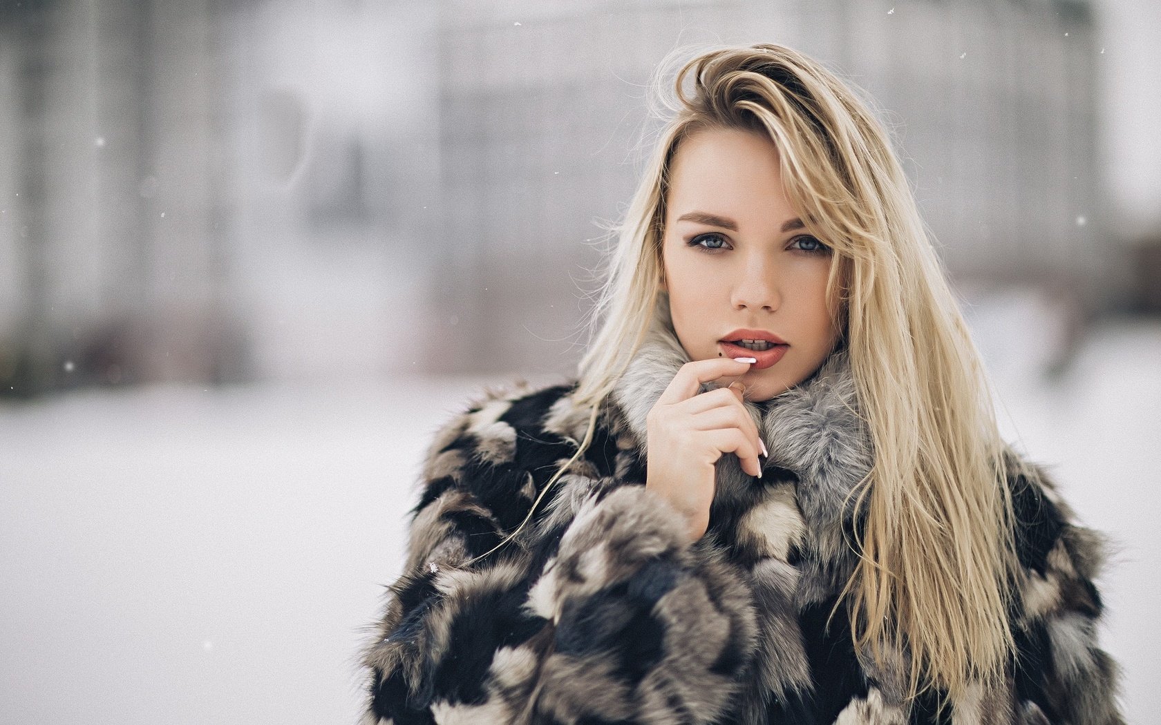 Обои зима, девушка, блондинка, модель, меха, шуба, winter, girl, blonde, model, fur, coat разрешение 2048x1365 Загрузить