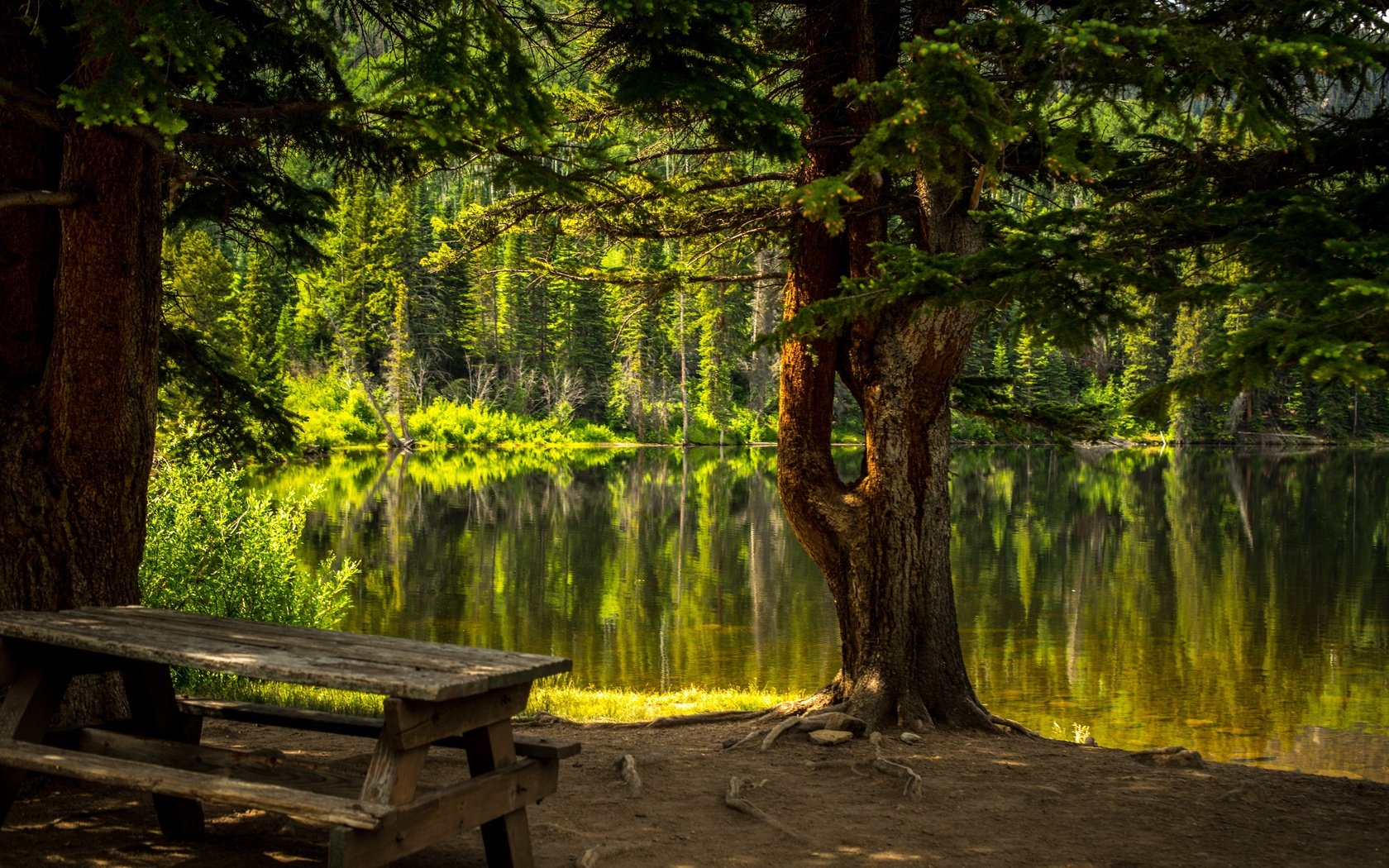 Обои деревья, вода, озеро, природа, лес, стол, скамейка, trees, water, lake, nature, forest, table, bench разрешение 6016x4016 Загрузить