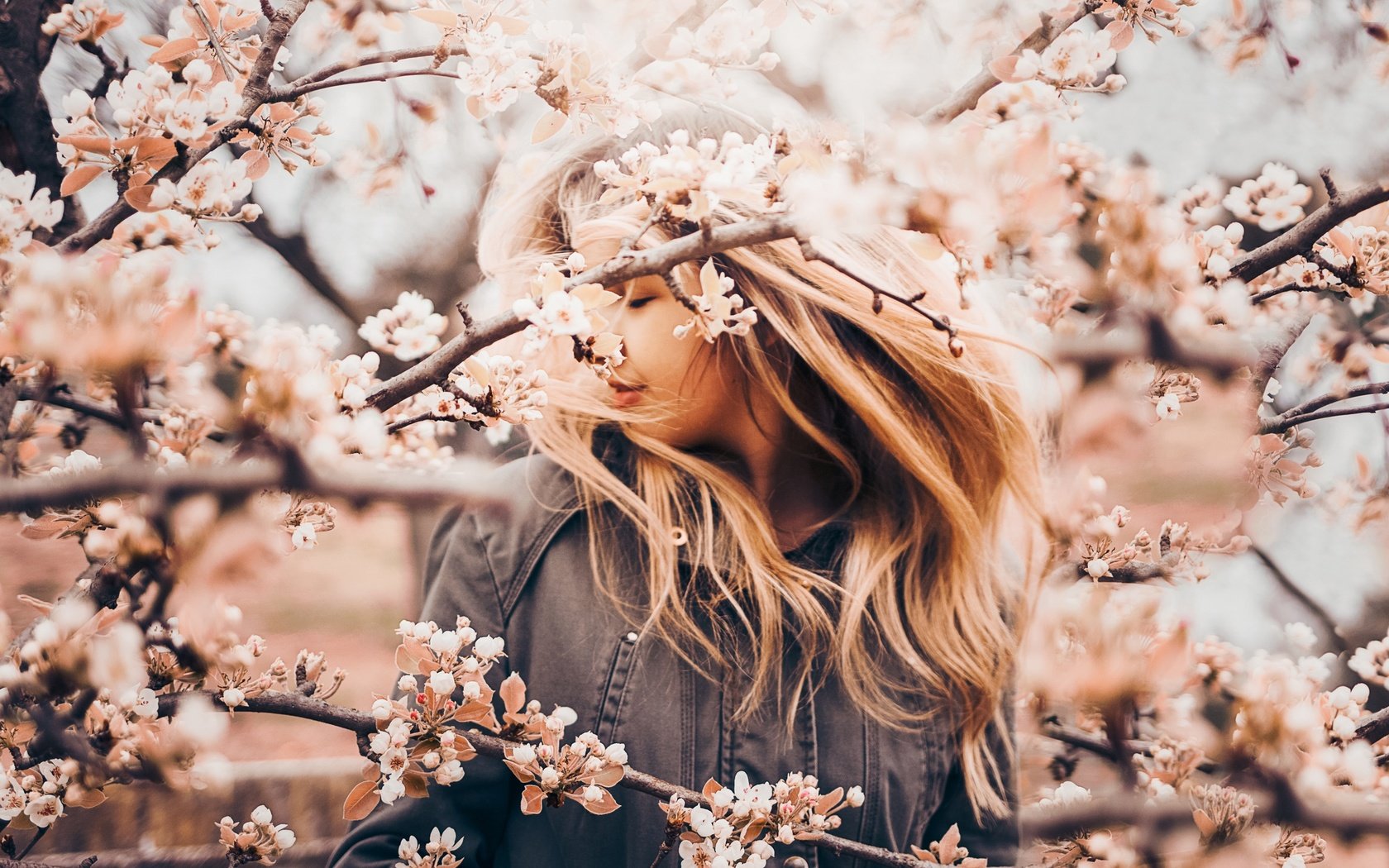 Обои цветение, девушка, настроение, ветки, весна, яблоня, flowering, girl, mood, branches, spring, apple разрешение 2560x1707 Загрузить