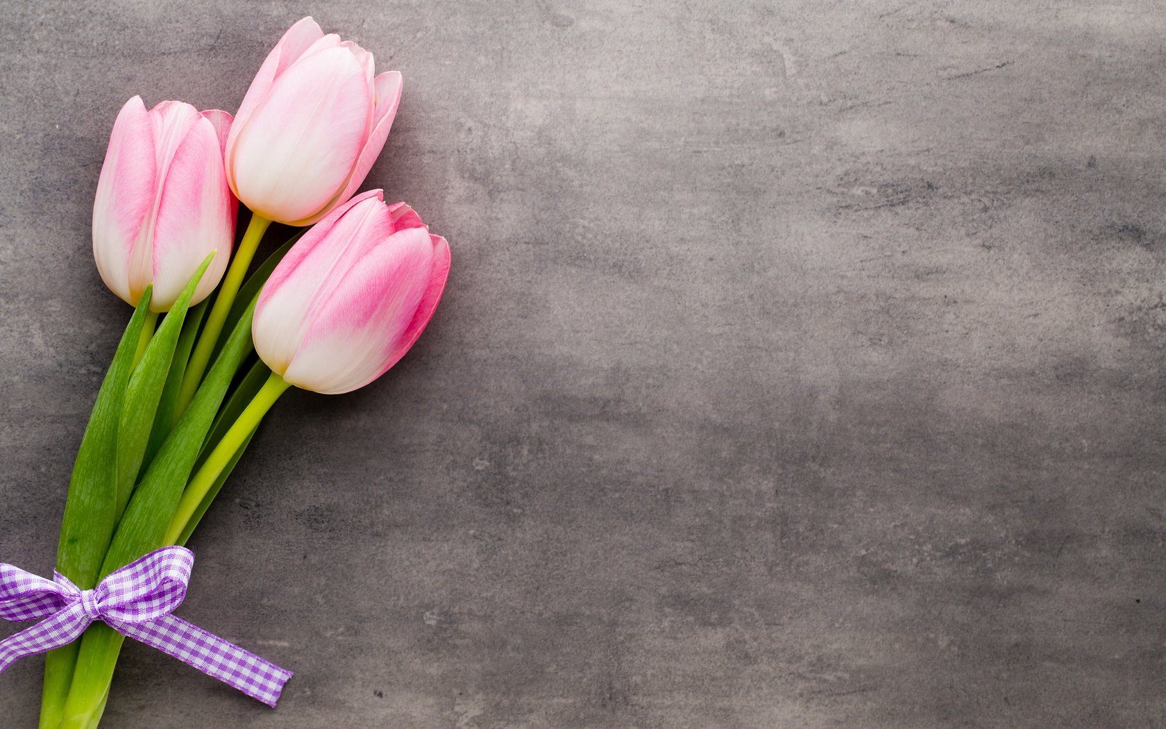 Обои цветы, пинк, букет, тюльпаны, розовые, красива, тульпаны,  цветы, парное, весенние, flowers, bouquet, tulips, pink, beautiful, fresh, spring разрешение 5472x3648 Загрузить