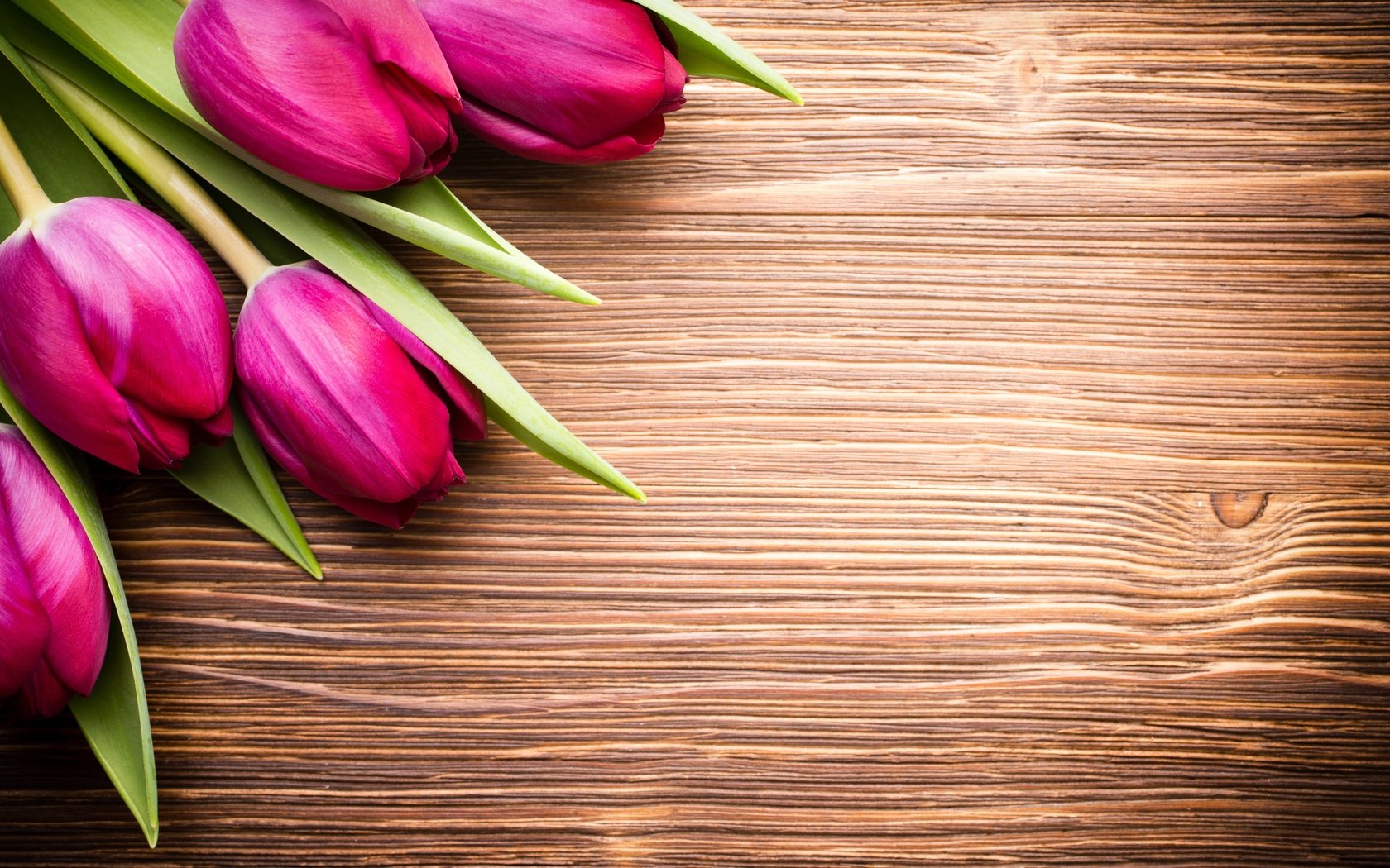 Обои пинк, цветы, букет, тюльпаны, розовые, дерева, красива, тульпаны,  цветы, парное, flowers, bouquet, tulips, pink, wood, beautiful, fresh разрешение 5472x3648 Загрузить