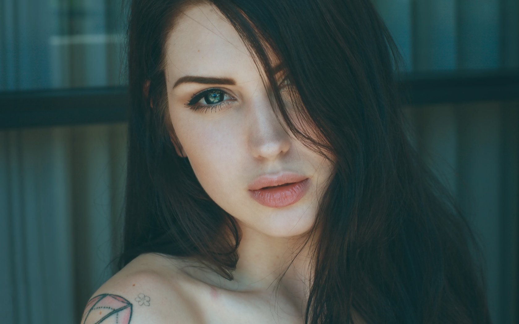 Обои девушка, взгляд, модель, волосы, лицо, татуировка, dame tu alma, arwen, girl, look, model, hair, face, tattoo разрешение 5616x3744 Загрузить