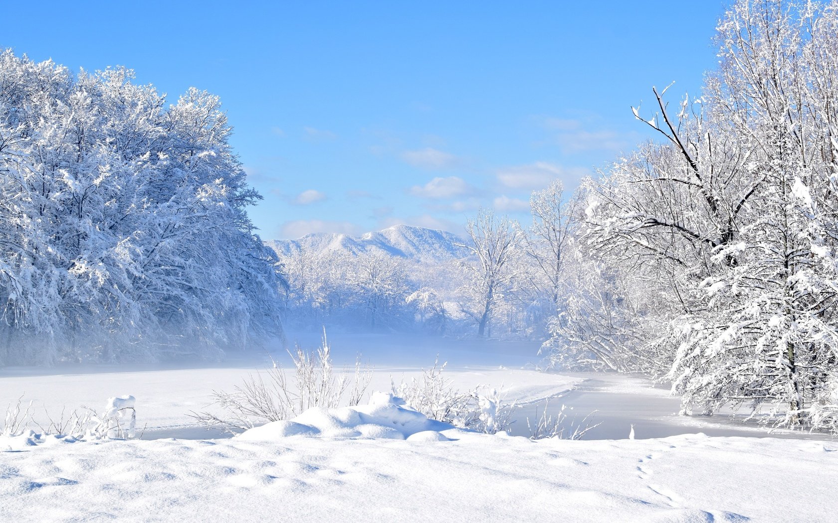 Обои небо, облака, деревья, снег, зима, пейзаж, холодно, the sky, clouds, trees, snow, winter, landscape, cold разрешение 3000x2000 Загрузить