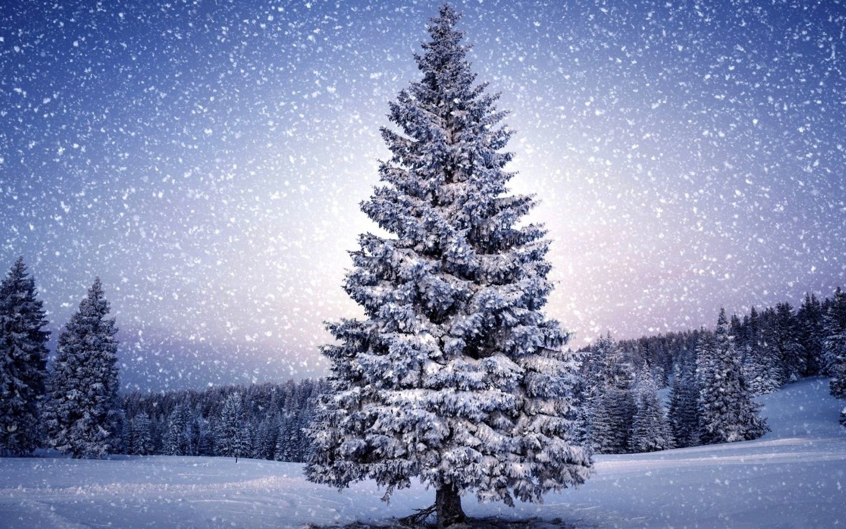 Обои деревья, снег, природа, зима, пейзаж, снегопад, trees, snow, nature, winter, landscape, snowfall разрешение 1920x1080 Загрузить