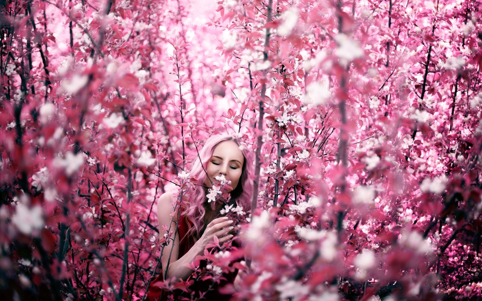 Обои цветение, девушка, ветки, весна, flowering, girl, branches, spring разрешение 2048x1365 Загрузить