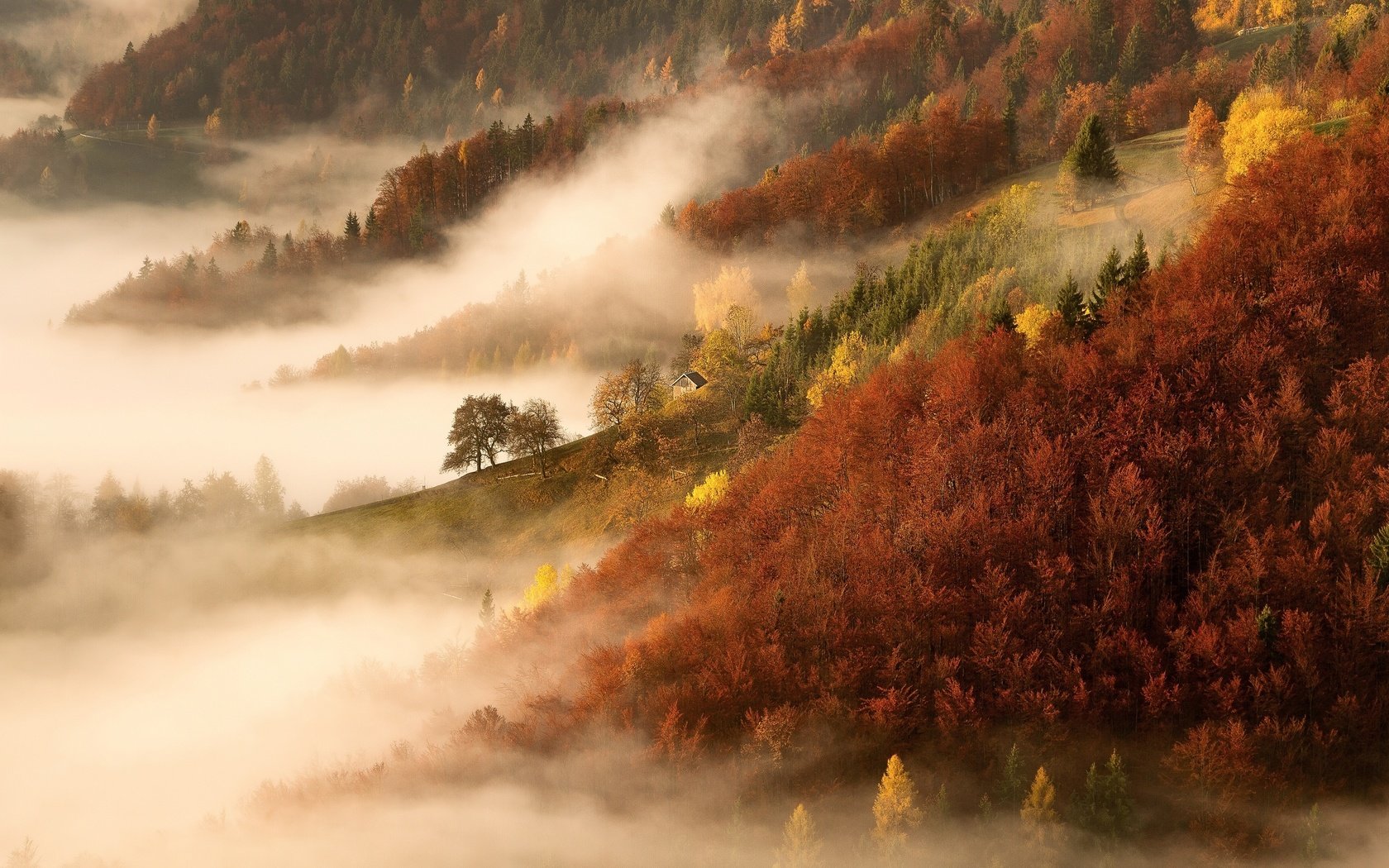 Обои деревья, горы, природа, лес, утро, туман, осень, trees, mountains, nature, forest, morning, fog, autumn разрешение 2500x1666 Загрузить