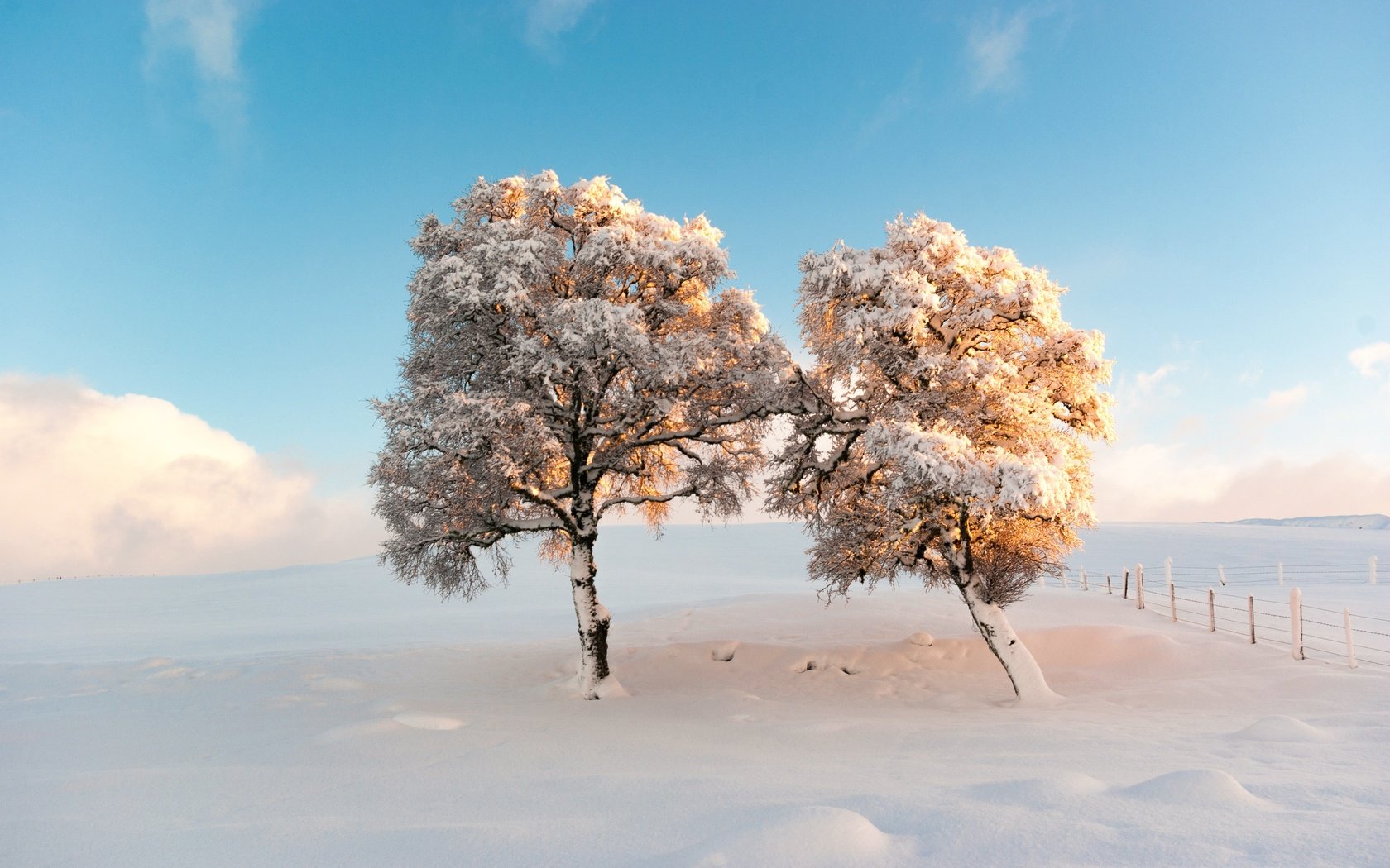 Обои небо, деревья, снег, зима, утро, мороз, the sky, trees, snow, winter, morning, frost разрешение 2500x1674 Загрузить