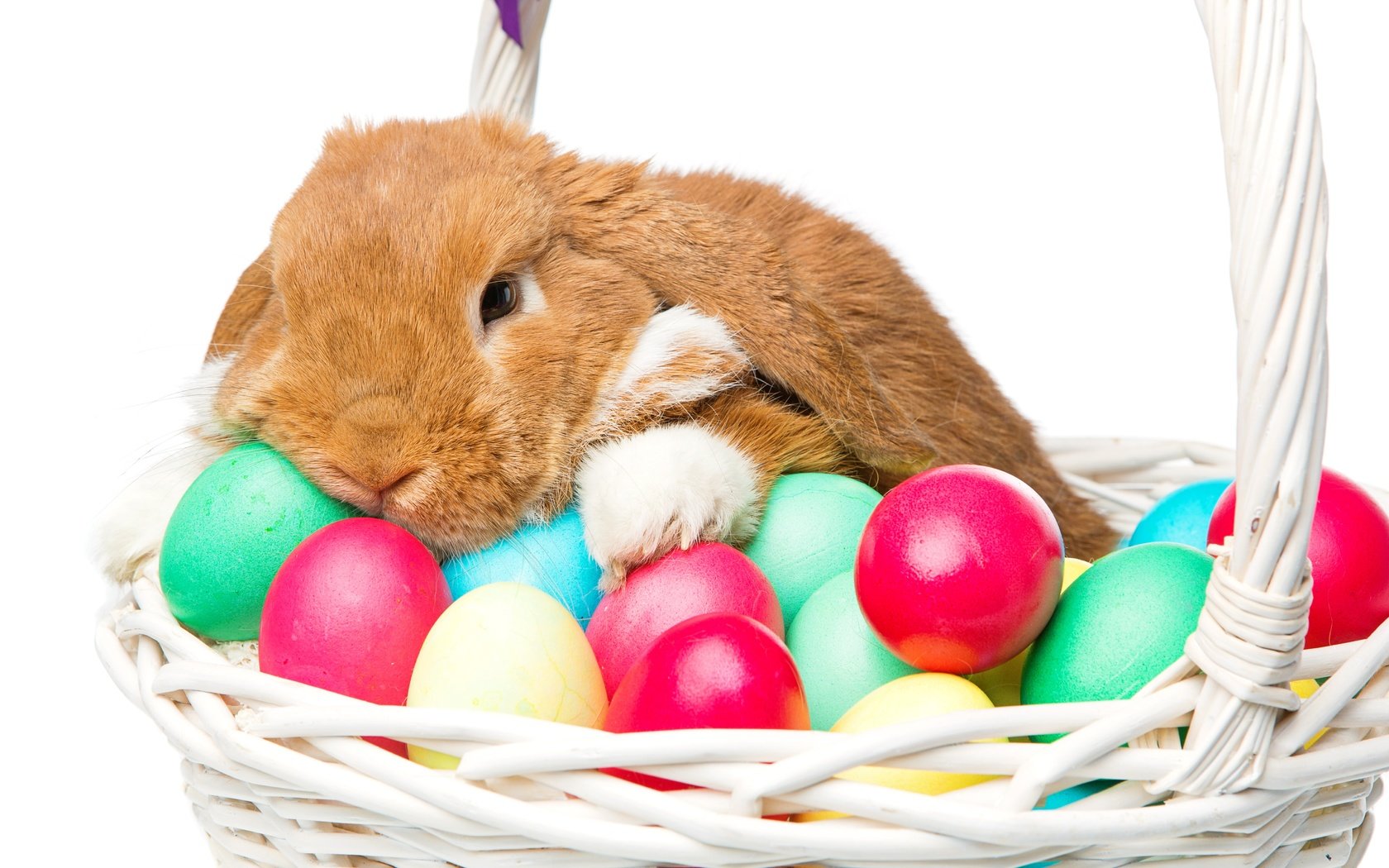 Обои корзина, кролик, пасха, яйца крашеные, basket, rabbit, easter, the painted eggs разрешение 5760x3840 Загрузить