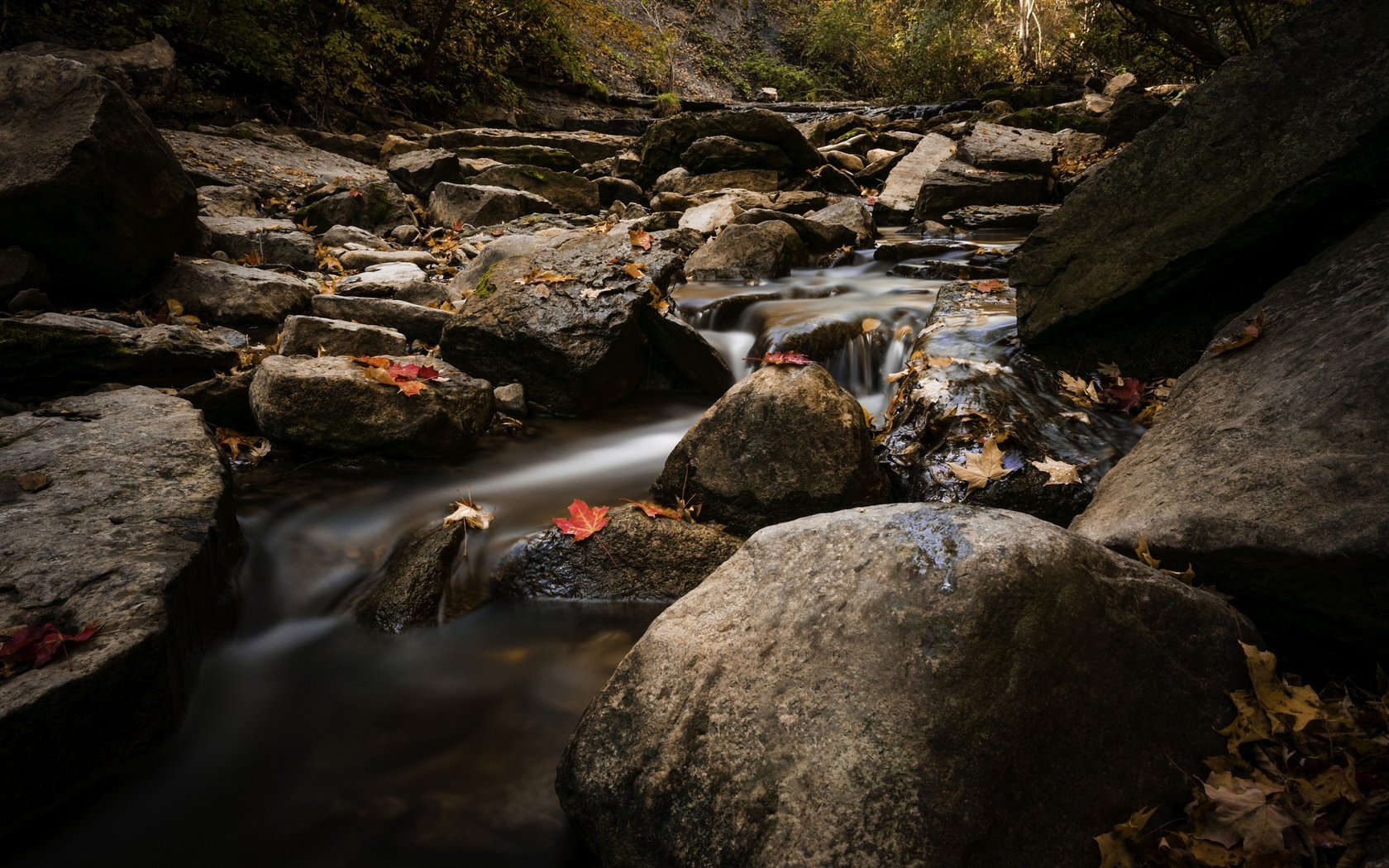 Обои вода, природа, камни, листья, ручей, осень, water, nature, stones, leaves, stream, autumn разрешение 2048x1367 Загрузить