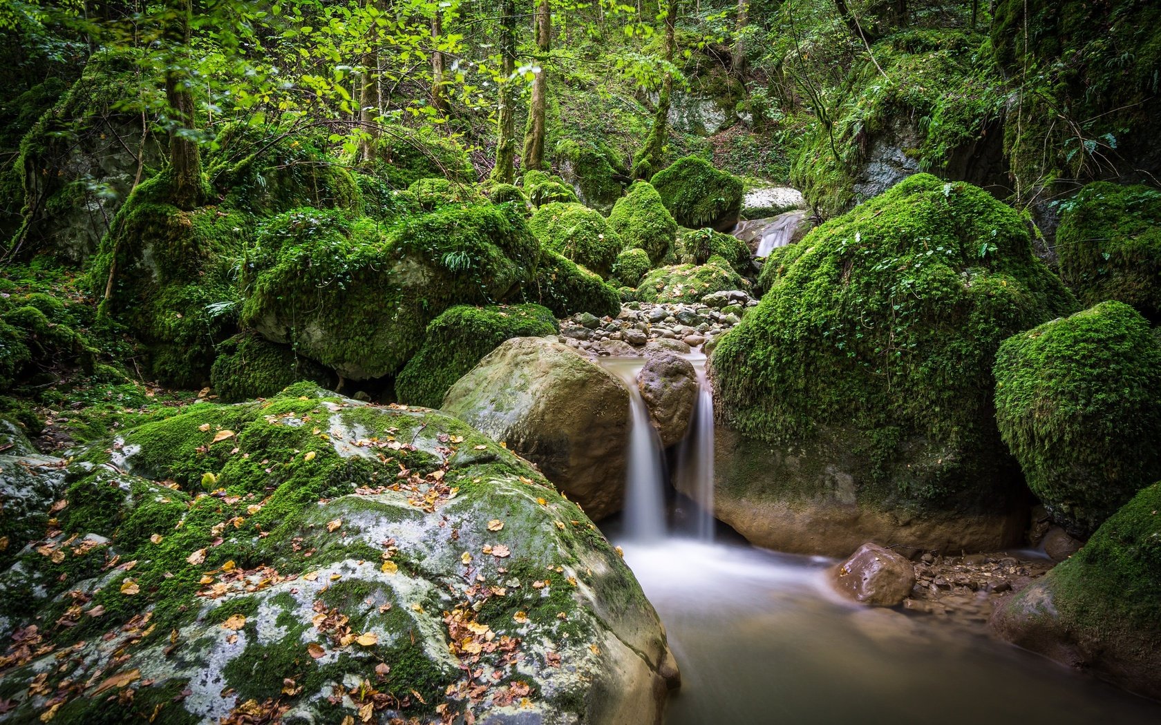 Обои вода, камни, зелень, лес, мох, water, stones, greens, forest, moss разрешение 2048x1365 Загрузить