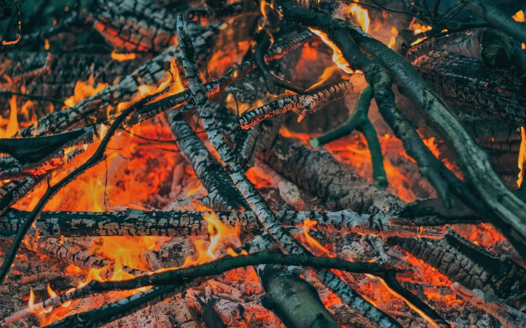 Обои пламя, огонь, угли, костёр, дрова, flame, fire, coal, the fire, wood разрешение 2560x1707 Загрузить