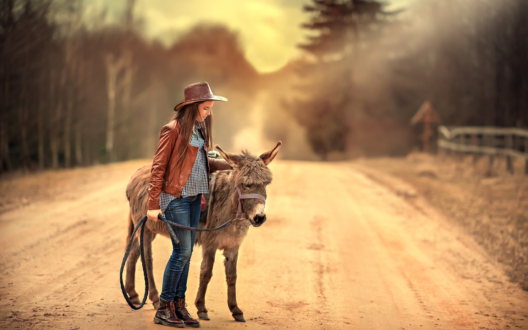 Обои дорога, девушка, джинсы, волосы, шляпа, кожанка, ослик, road, girl, jeans, hair, hat, kozhanka, donkey разрешение 2200x1469 Загрузить