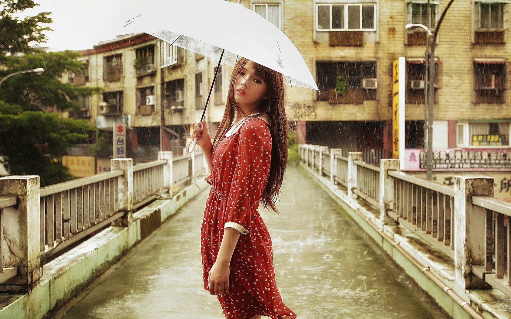 Обои девушка, брюнетка, мост, дождь, зонт, азиатка, girl, brunette, bridge, rain, umbrella, asian разрешение 1920x1200 Загрузить