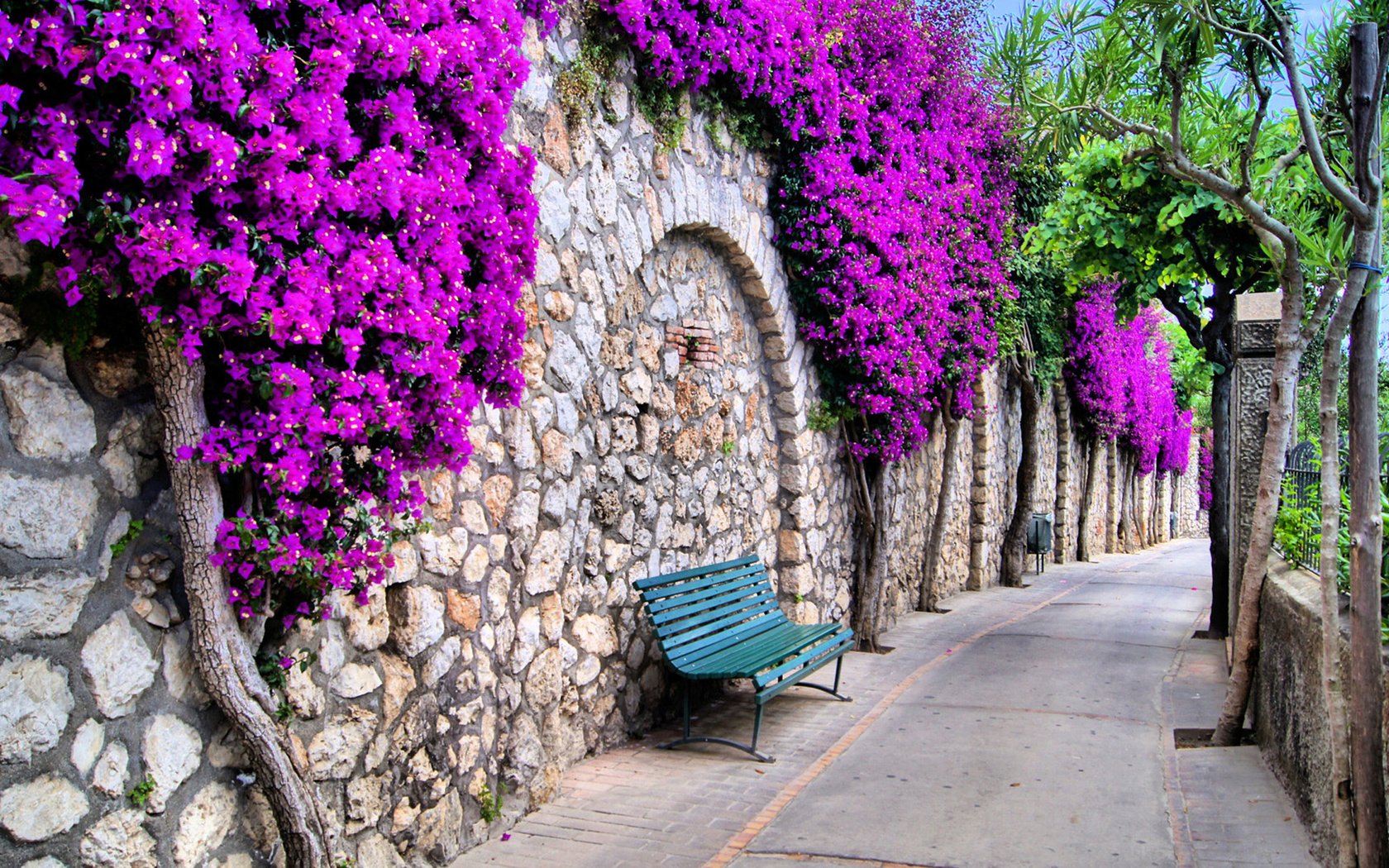 Обои цветы, дорожка, стена, улица, италия, романтика, скамейка, flowers, track, wall, street, italy, romance, bench разрешение 2560x1440 Загрузить