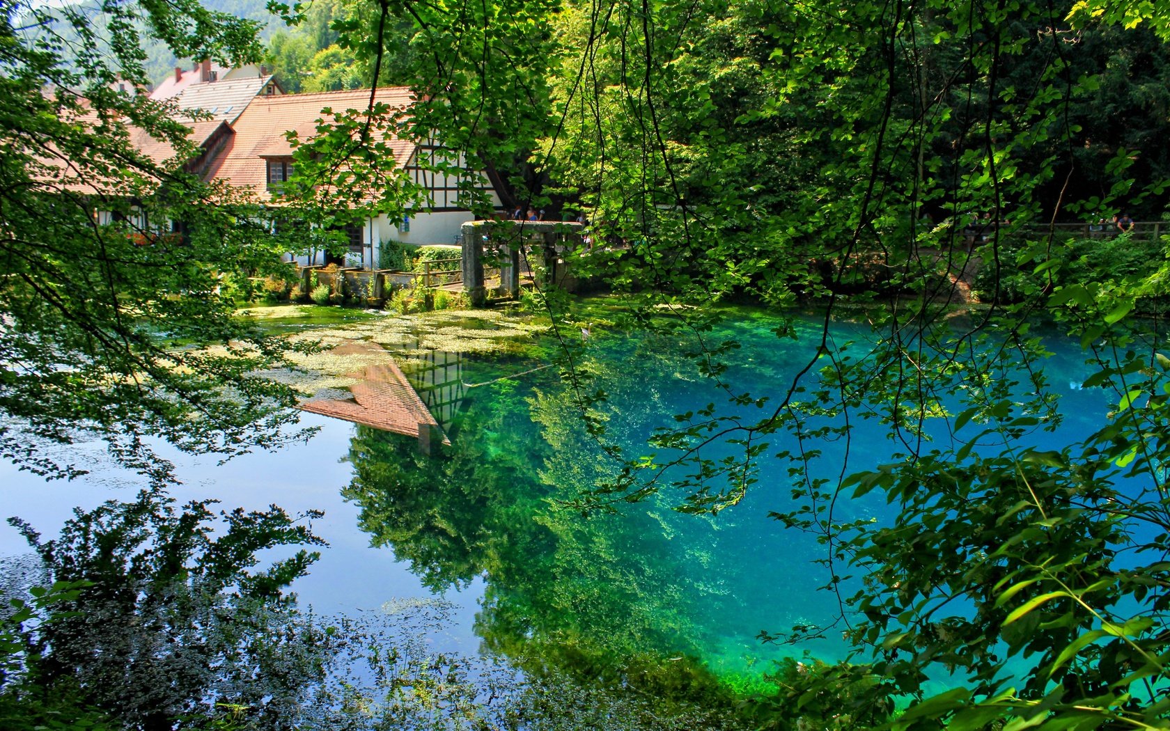 Обои деревья, отражение, ветки, сад, пруд, trees, reflection, branches, garden, pond разрешение 3750x2500 Загрузить