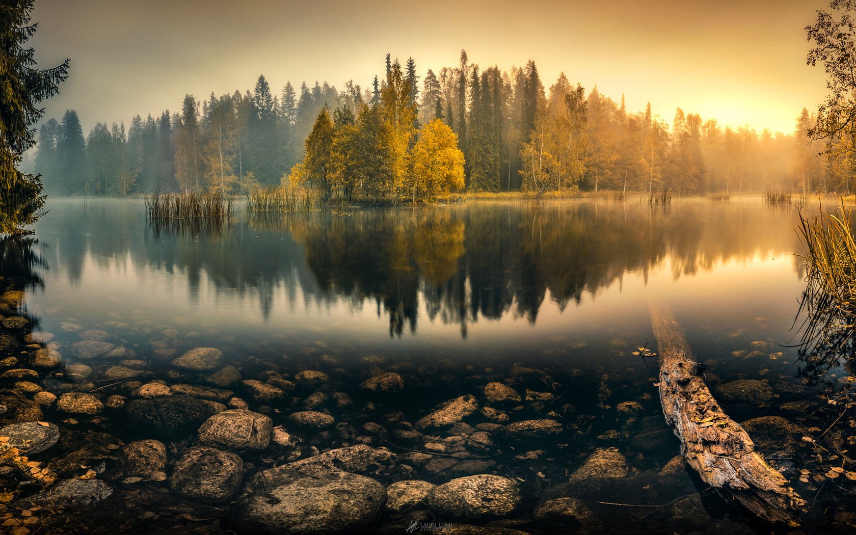 красивые фото озера в лесу