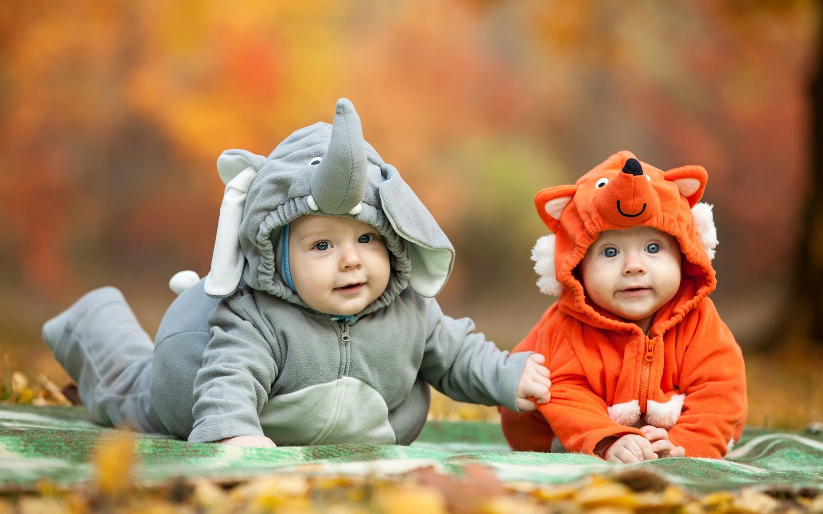 Обои дети, костюмы, слоник, лисичка, позитив, младенцы, children, costumes, elephant, fox, positive, babies разрешение 2560x1600 Загрузить