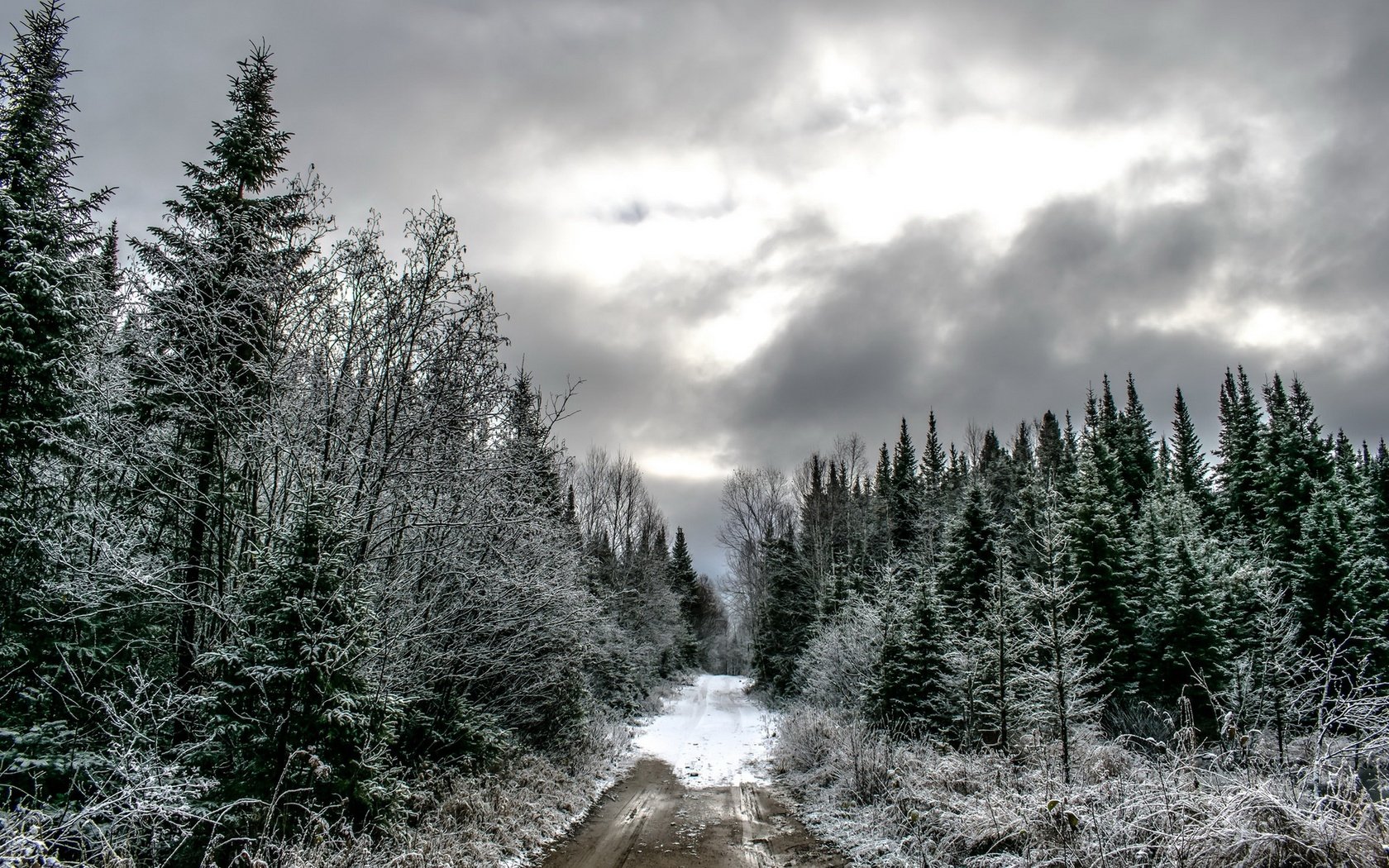 Обои дорога, лес, тучи, зима, ели, road, forest, clouds, winter, ate разрешение 1920x1280 Загрузить