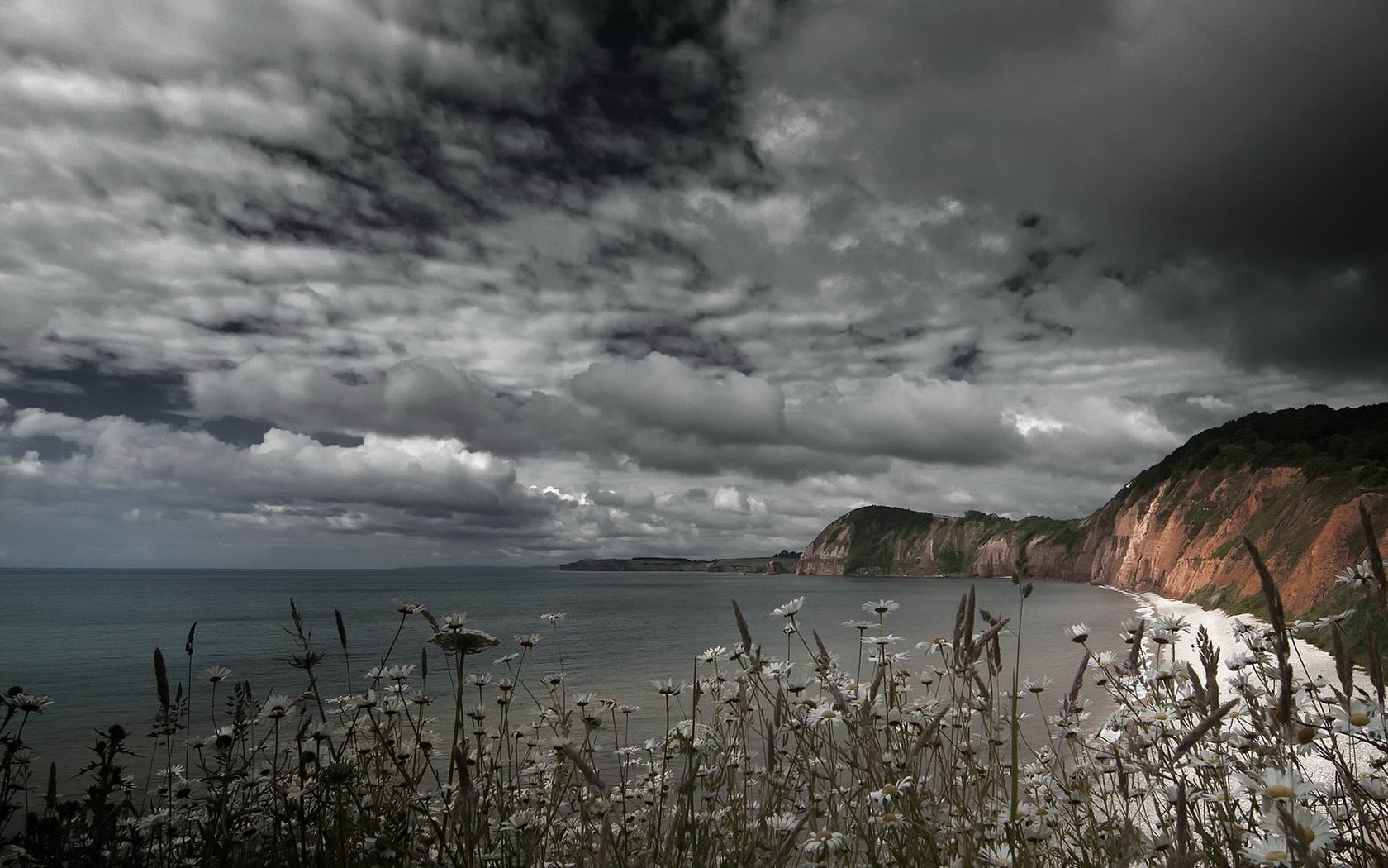 Обои небо, цветы, скалы, берег, тучи, море, the sky, flowers, rocks, shore, clouds, sea разрешение 2048x1144 Загрузить