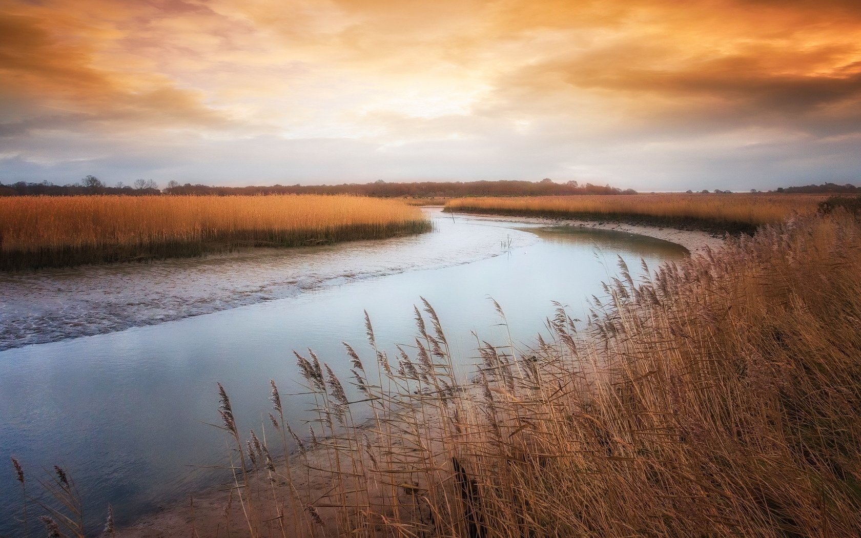 Обои трава, река, берег, осень, камыш, grass, river, shore, autumn, reed разрешение 2047x1180 Загрузить