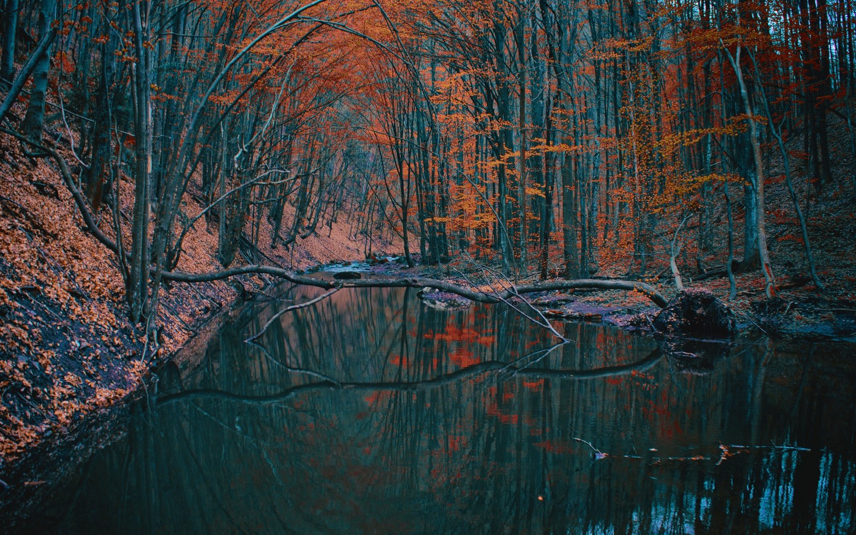 Обои деревья, озеро, лес, отражение, осень, trees, lake, forest, reflection, autumn разрешение 6144x4096 Загрузить