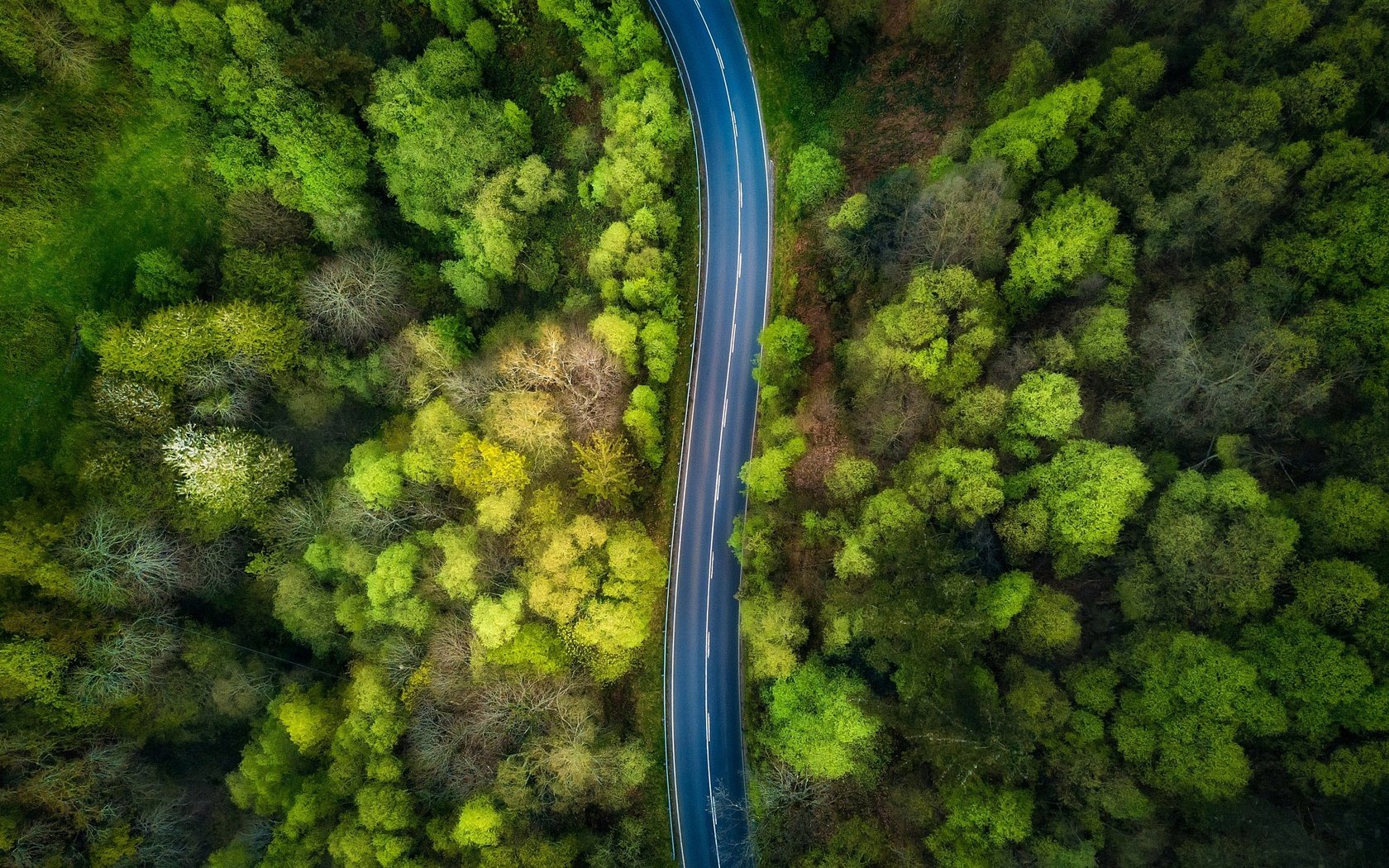 Обои дорога, деревья, природа, лес, вид сверху, road, trees, nature, forest, the view from the top разрешение 2048x1532 Загрузить