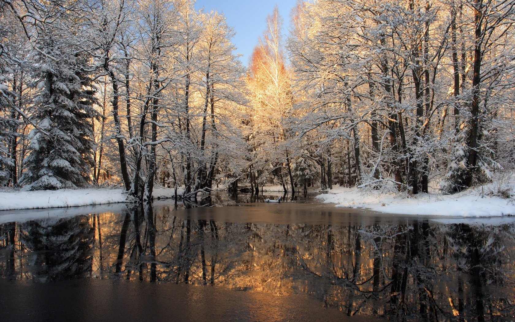 Обои деревья, река, снег, лес, зима, отражение, лёд, trees, river, snow, forest, winter, reflection, ice разрешение 2560x1600 Загрузить