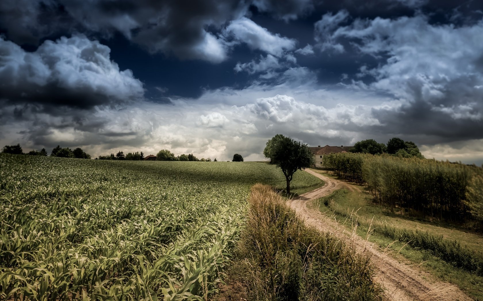 Обои небо, дорога, облака, деревья, природа, поле, the sky, road, clouds, trees, nature, field разрешение 2048x1152 Загрузить