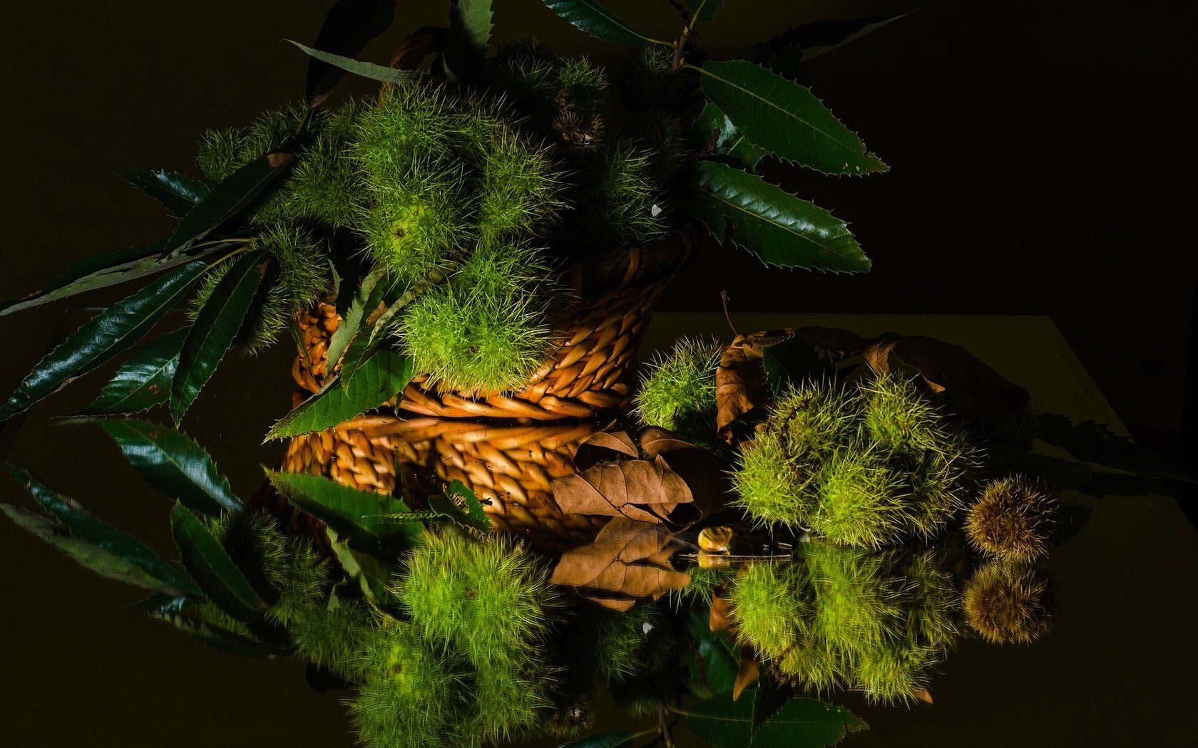 Обои зелень, листья, отражение, черный фон, натюрморт, каштан, greens, leaves, reflection, black background, still life, chestnut разрешение 2048x1401 Загрузить