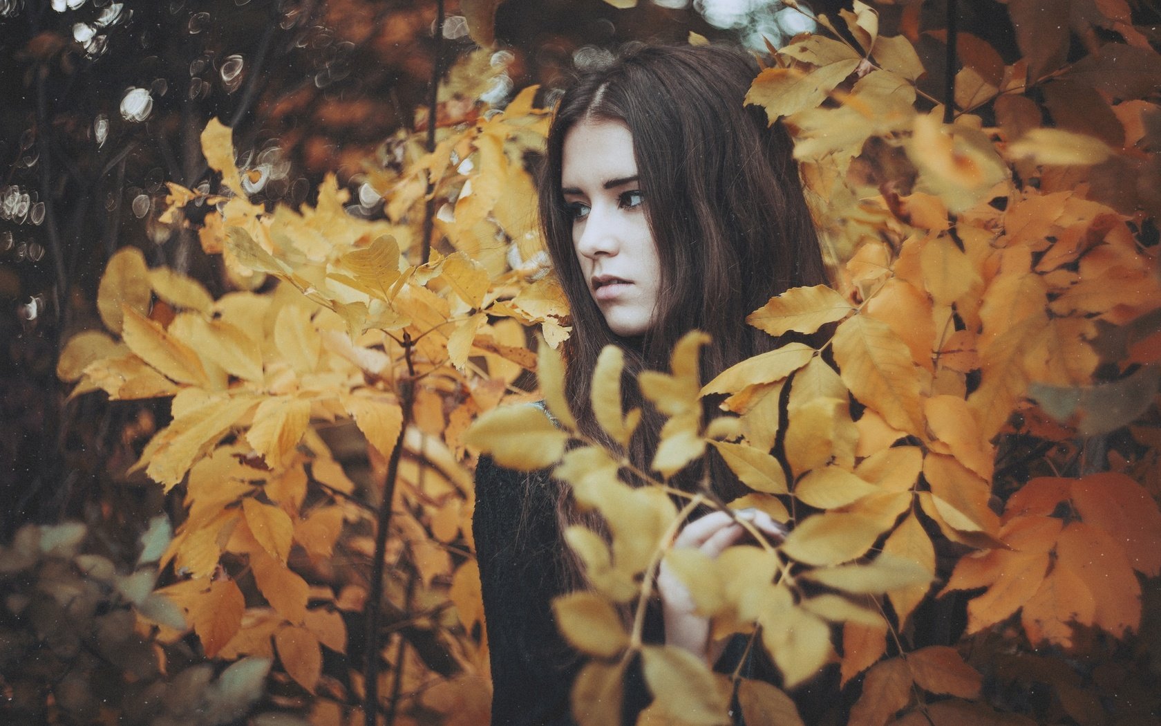 Обои природа, листья, девушка, брюнетка, взгляд, осень, nature, leaves, girl, brunette, look, autumn разрешение 2048x1367 Загрузить