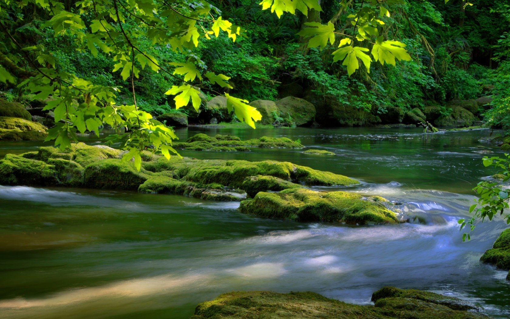 Обои река, дерево, камни, зелень, листья, листва, мох, river, tree, stones, greens, leaves, foliage, moss разрешение 2048x1355 Загрузить