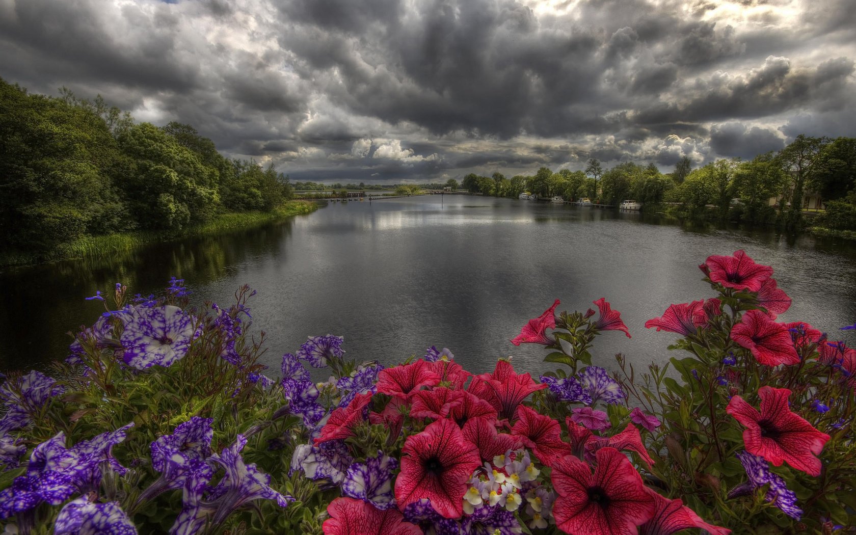 Обои цветы, деревья, река, берег, закат, тучи, пейзаж, flowers, trees, river, shore, sunset, clouds, landscape разрешение 2048x1365 Загрузить