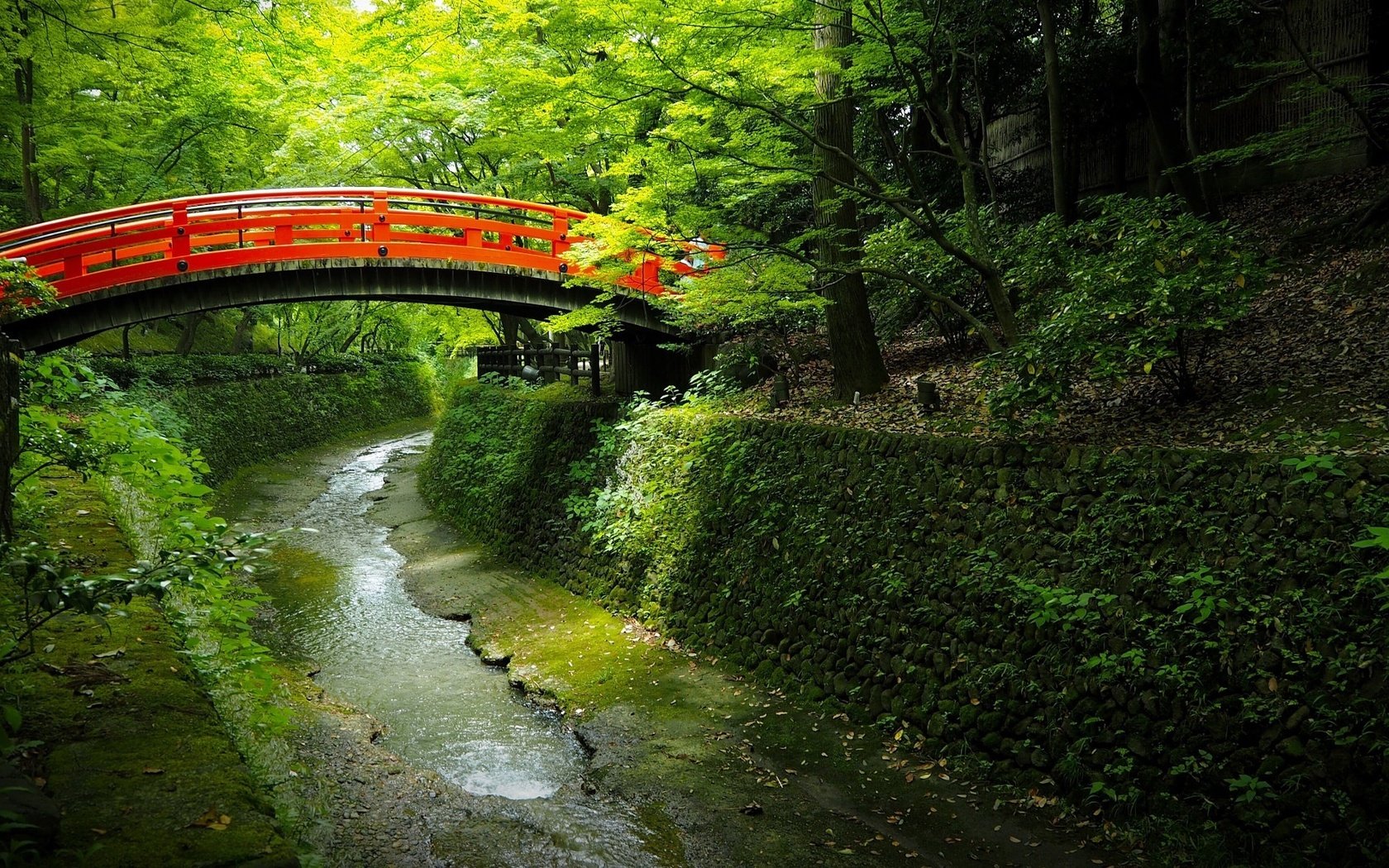 Обои деревья, вода, мостик, парк, канал, япония, trees, water, the bridge, park, channel, japan разрешение 2048x1152 Загрузить