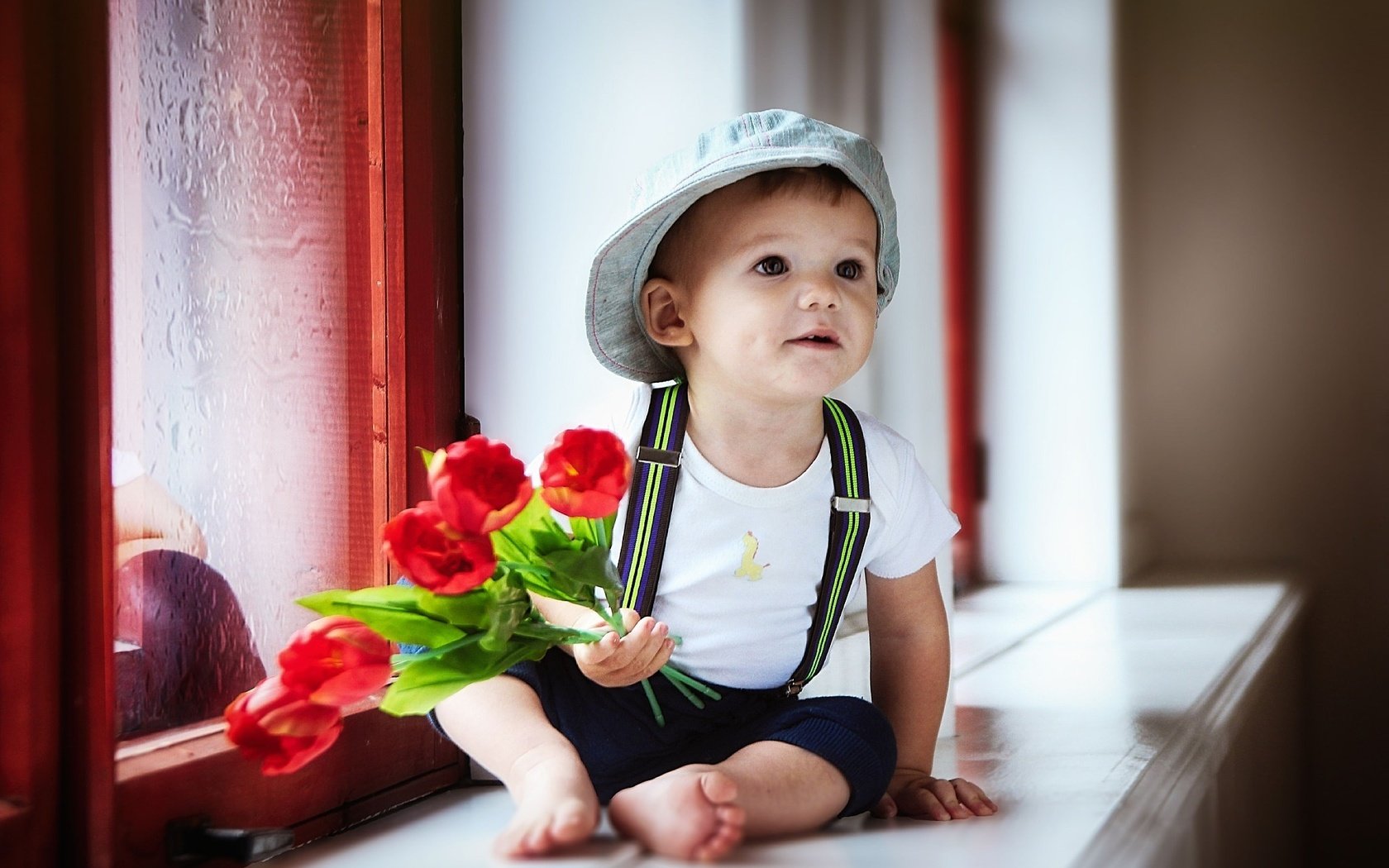 Обои цветы, подоконник, тюльпаны, olga nikulochkina, штанишки, ребенок, окно, мальчик, футболка, кепка, подтяжки, flowers, sill, tulips, pants, child, window, boy, t-shirt, cap, braces разрешение 2048x1365 Загрузить