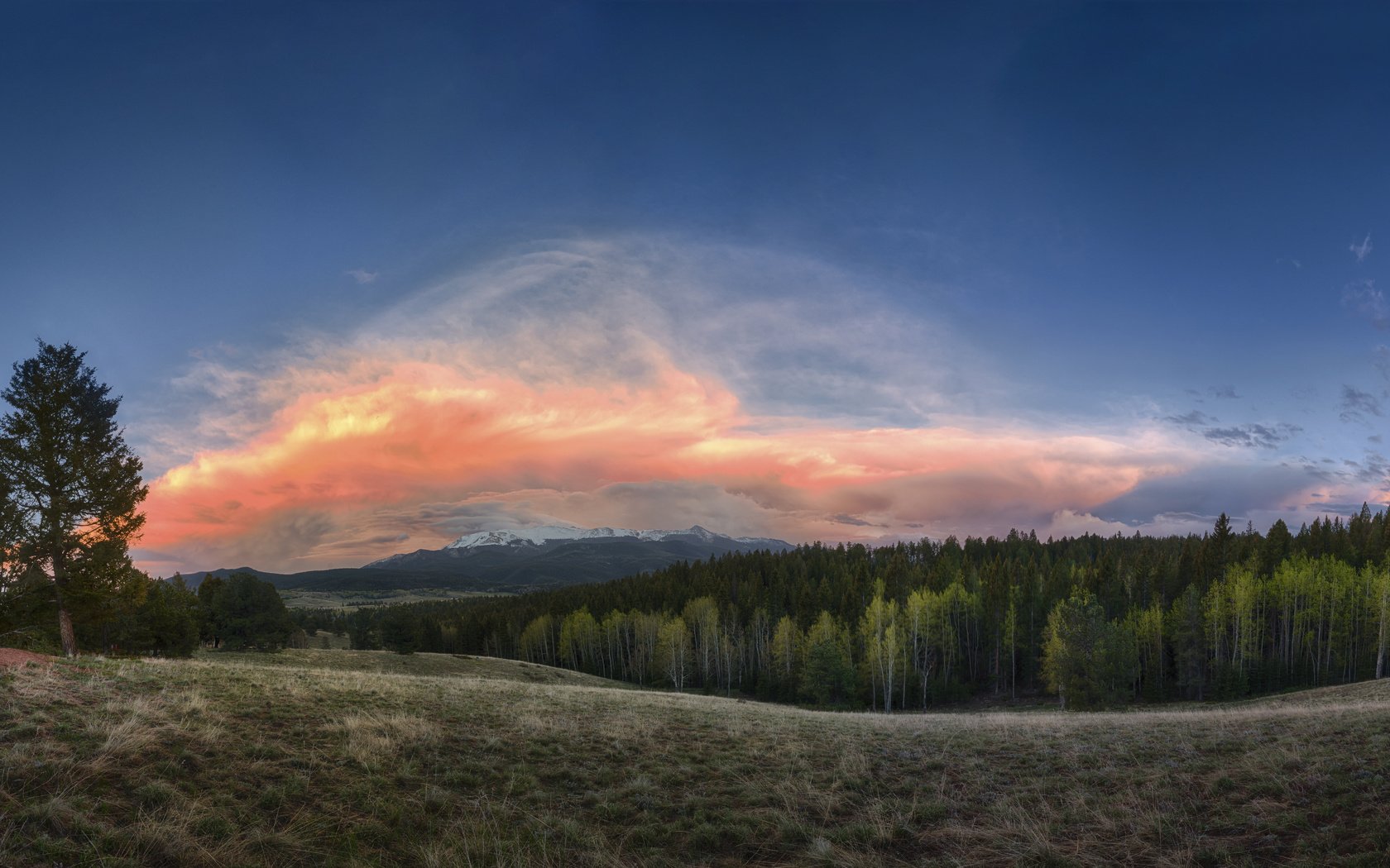 Обои небо, облака, деревья, природа, лес, пейзаж, the sky, clouds, trees, nature, forest, landscape разрешение 7680x4320 Загрузить