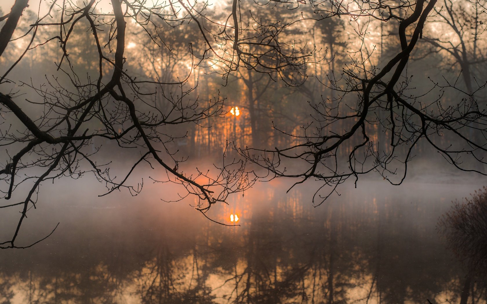 Обои деревья, вода, солнце, отражение, утро, туман, ветки, trees, water, the sun, reflection, morning, fog, branches разрешение 5769x3851 Загрузить