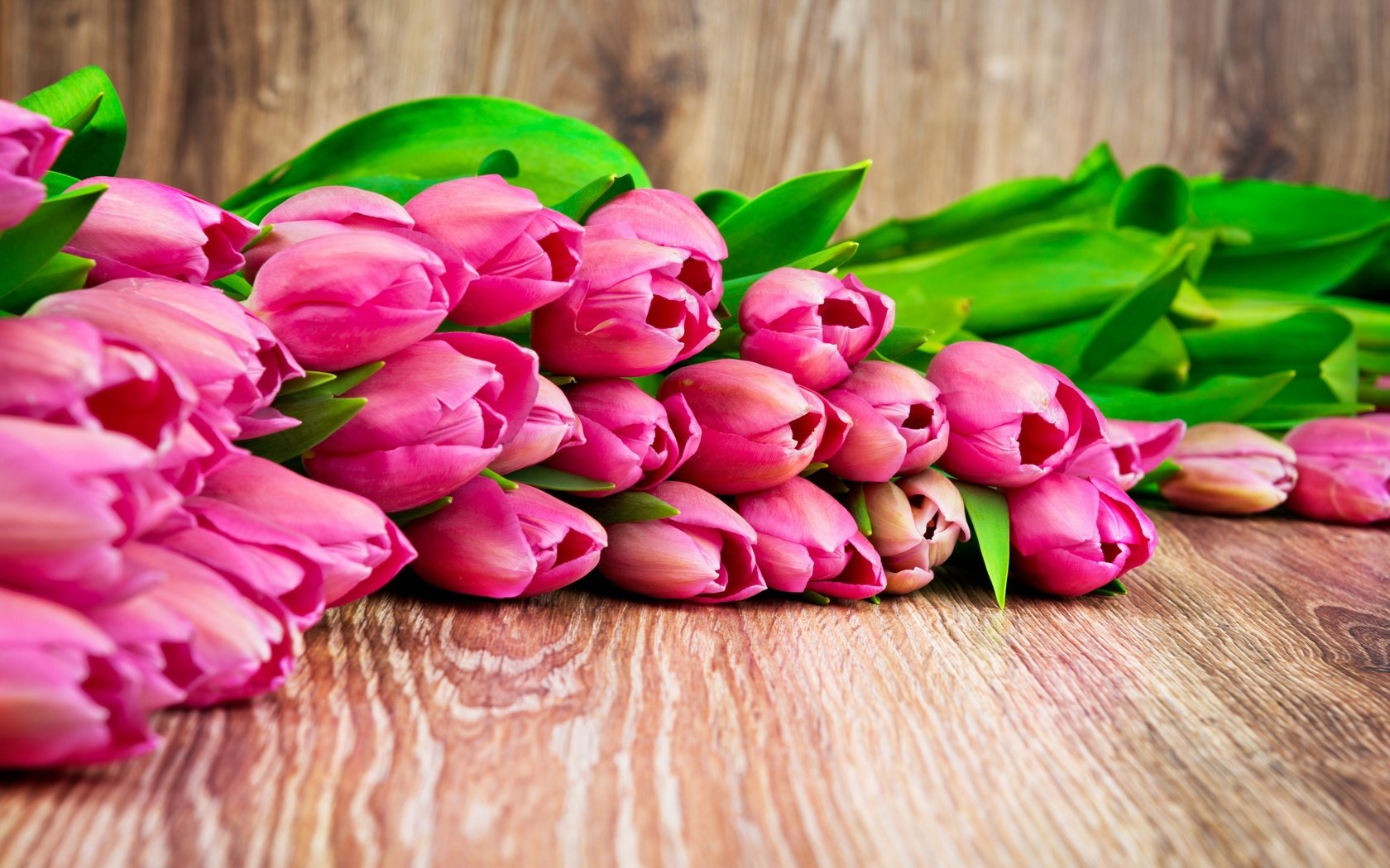 Обои цветы, бутоны, весна, тюльпаны, flowers, buds, spring, tulips разрешение 2880x1800 Загрузить