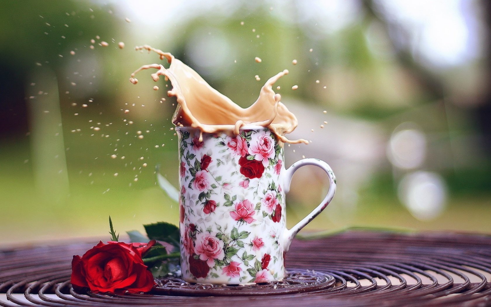 Обои напиток, цветок, роза, кофе, кружка, всплеск, капучино, drink, flower, rose, coffee, mug, splash, cappuccino разрешение 1920x1080 Загрузить