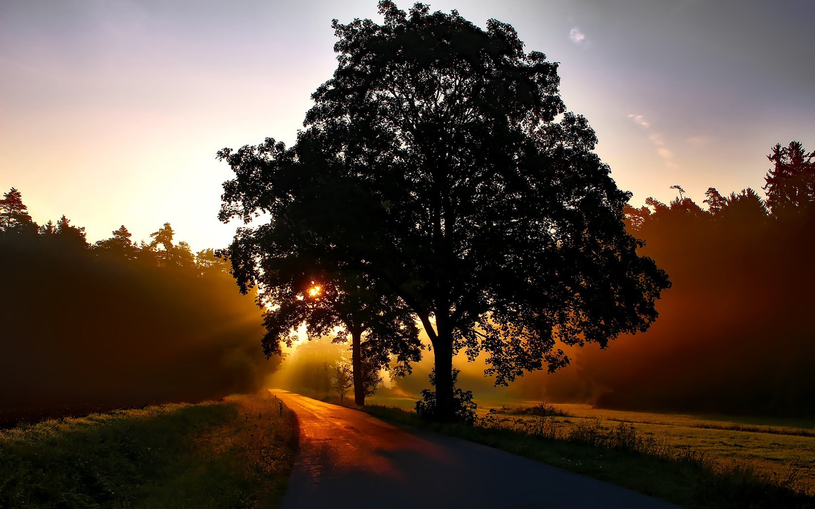 Обои дорога, природа, дерево, пейзаж, утро, рассвет, road, nature, tree, landscape, morning, dawn разрешение 1920x1200 Загрузить