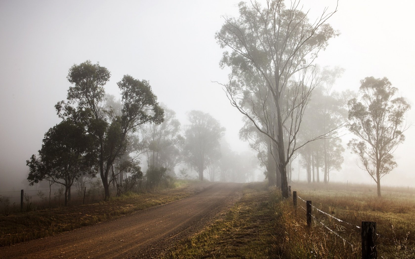 Обои дорога, деревья, природа, туман, забор, road, trees, nature, fog, the fence разрешение 1920x1200 Загрузить