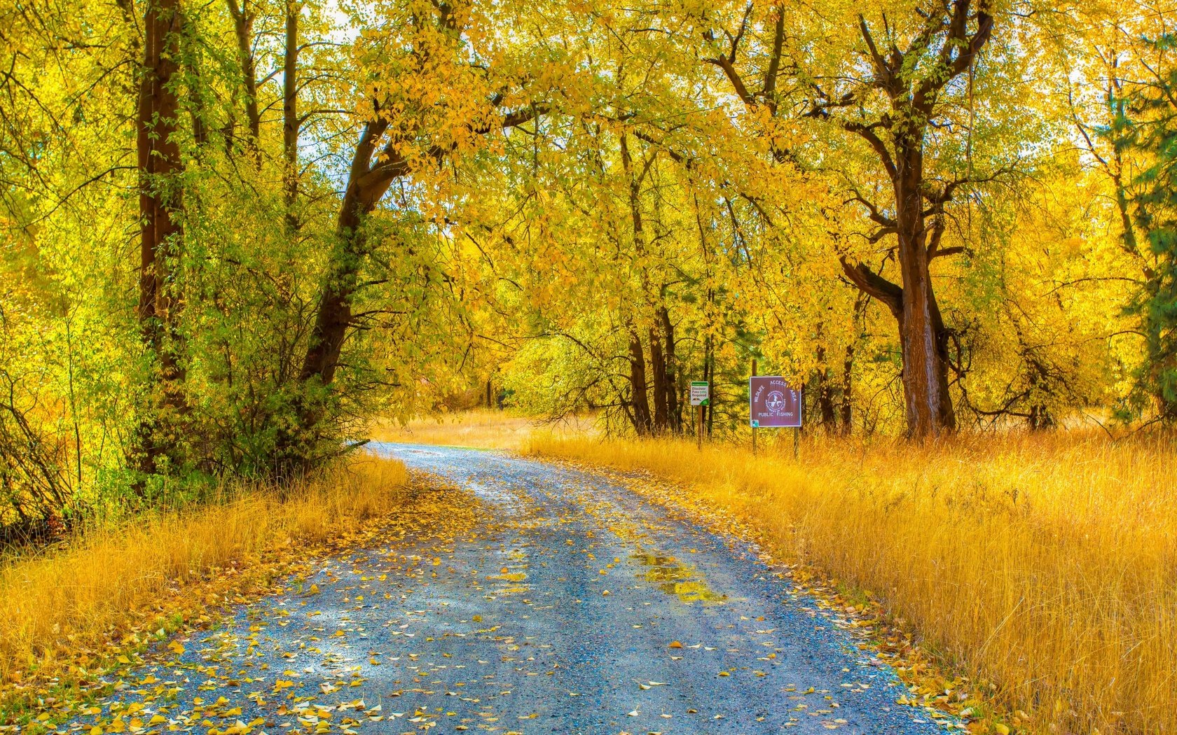 Обои дорога, деревья, природа, лес, листья, парк, осень, road, trees, nature, forest, leaves, park, autumn разрешение 2880x1800 Загрузить