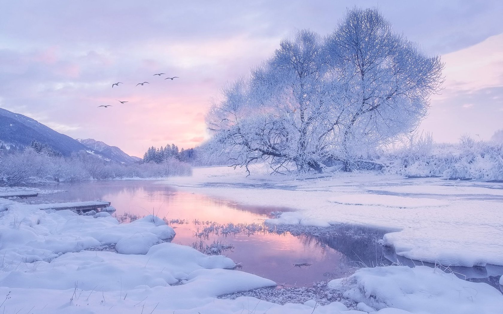 Обои деревья, река, снег, природа, зима, утро, птицы, trees, river, snow, nature, winter, morning, birds разрешение 1920x1200 Загрузить