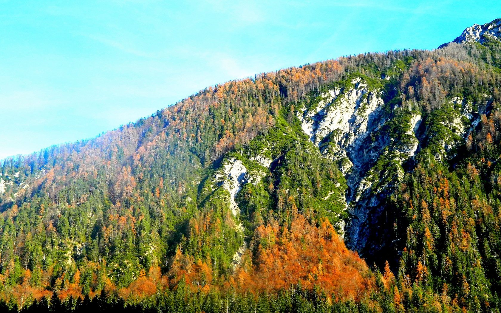 Обои деревья, горы, лес, осень, trees, mountains, forest, autumn разрешение 4224x2376 Загрузить