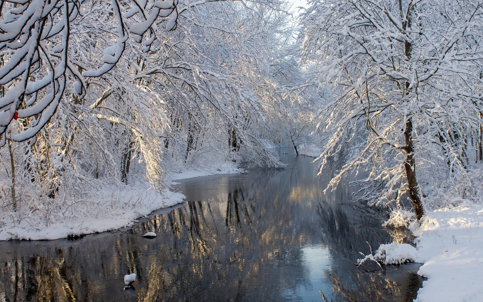 Обои деревья, река, снег, зима, отражение, пейзаж, ветви, мороз, trees, river, snow, winter, reflection, landscape, branch, frost разрешение 1920x1280 Загрузить