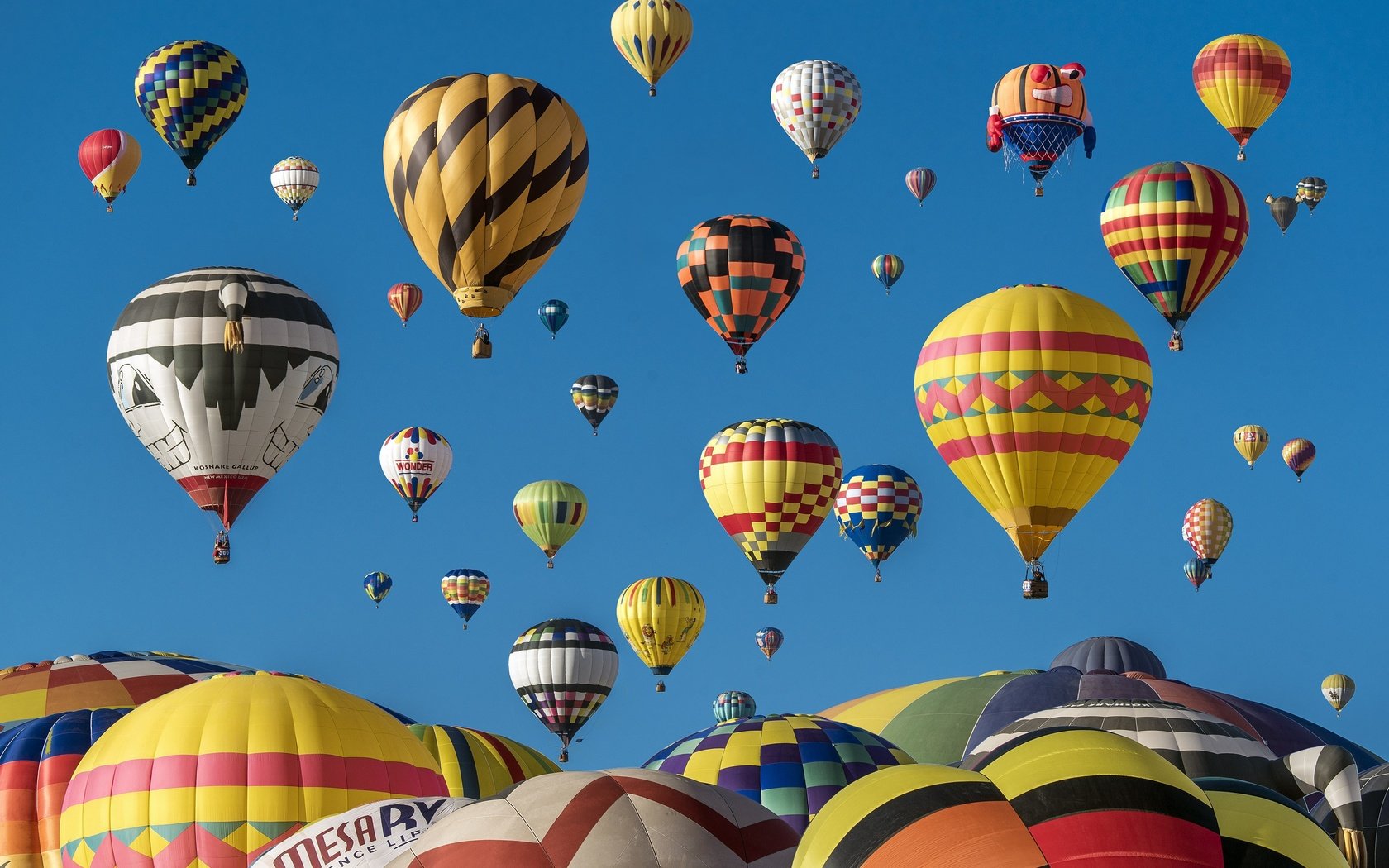 Обои воздушные шары, голубое небо, фестиваль, balloons, blue sky, festival разрешение 3170x2100 Загрузить