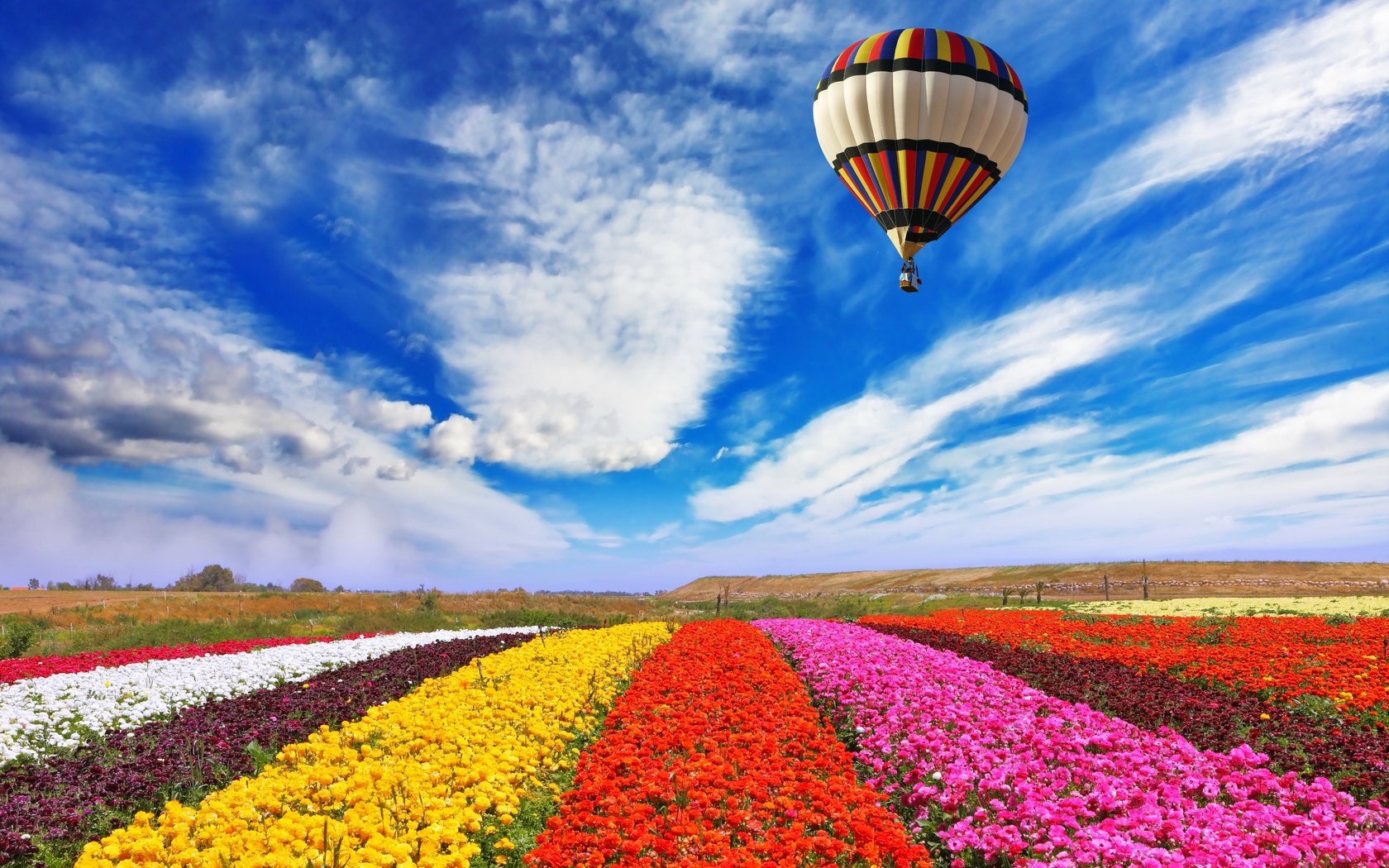 Обои небо, цветы, облака, природа, поле, воздушный шар, the sky, flowers, clouds, nature, field, balloon разрешение 5616x4600 Загрузить