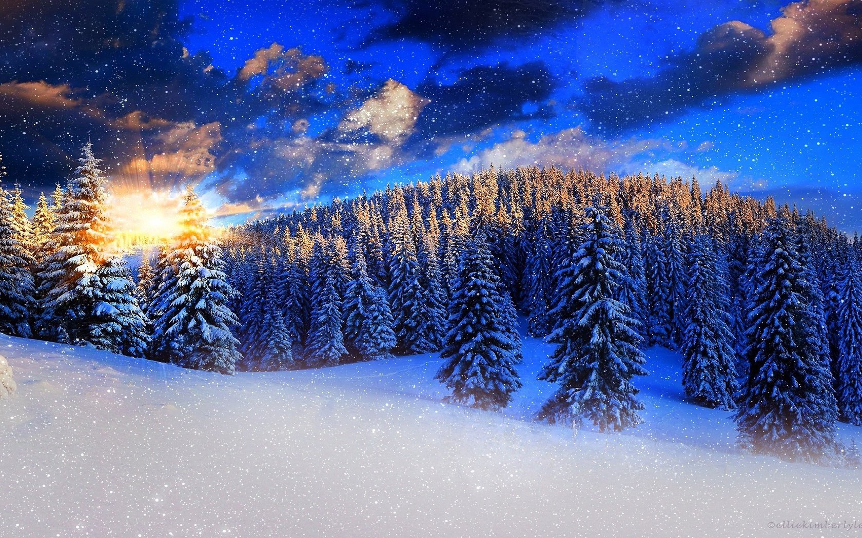 Обои небо, снег, природа, лес, закат, зима, ели, the sky, snow, nature, forest, sunset, winter, ate разрешение 2560x1440 Загрузить