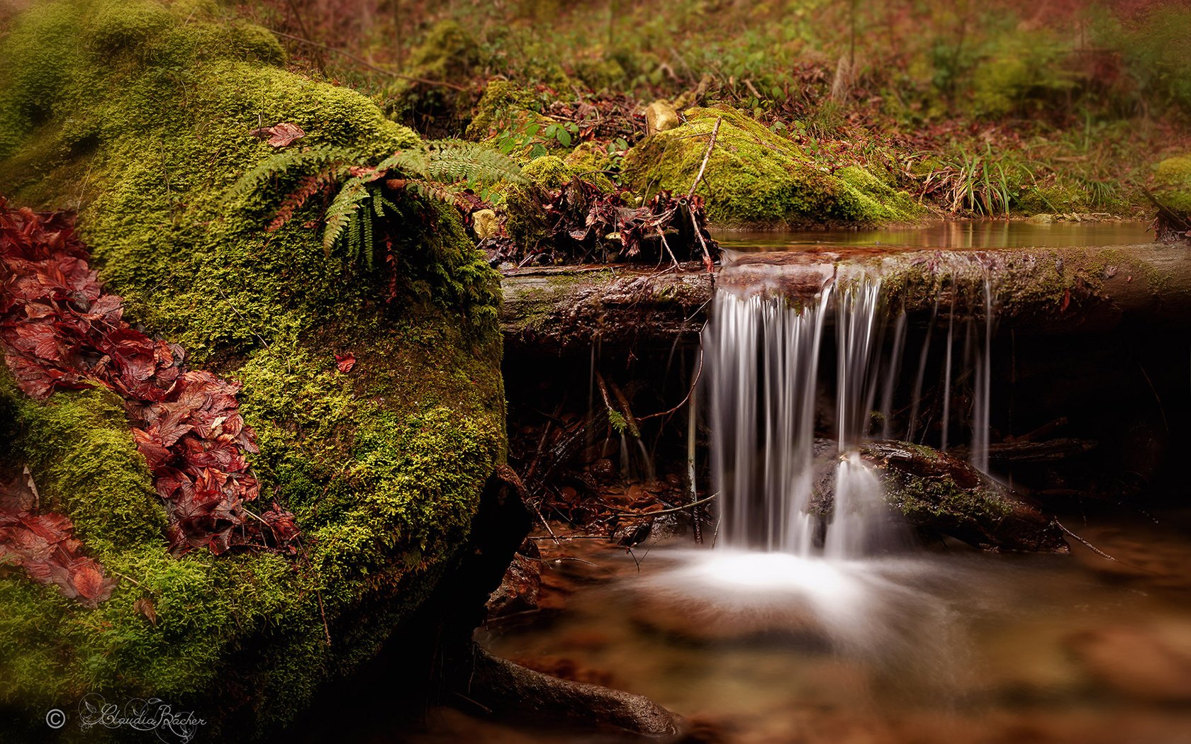 Обои река, природа, ручей, водопад, швейцария, мох, папоротник, river, nature, stream, waterfall, switzerland, moss, fern разрешение 1920x1200 Загрузить