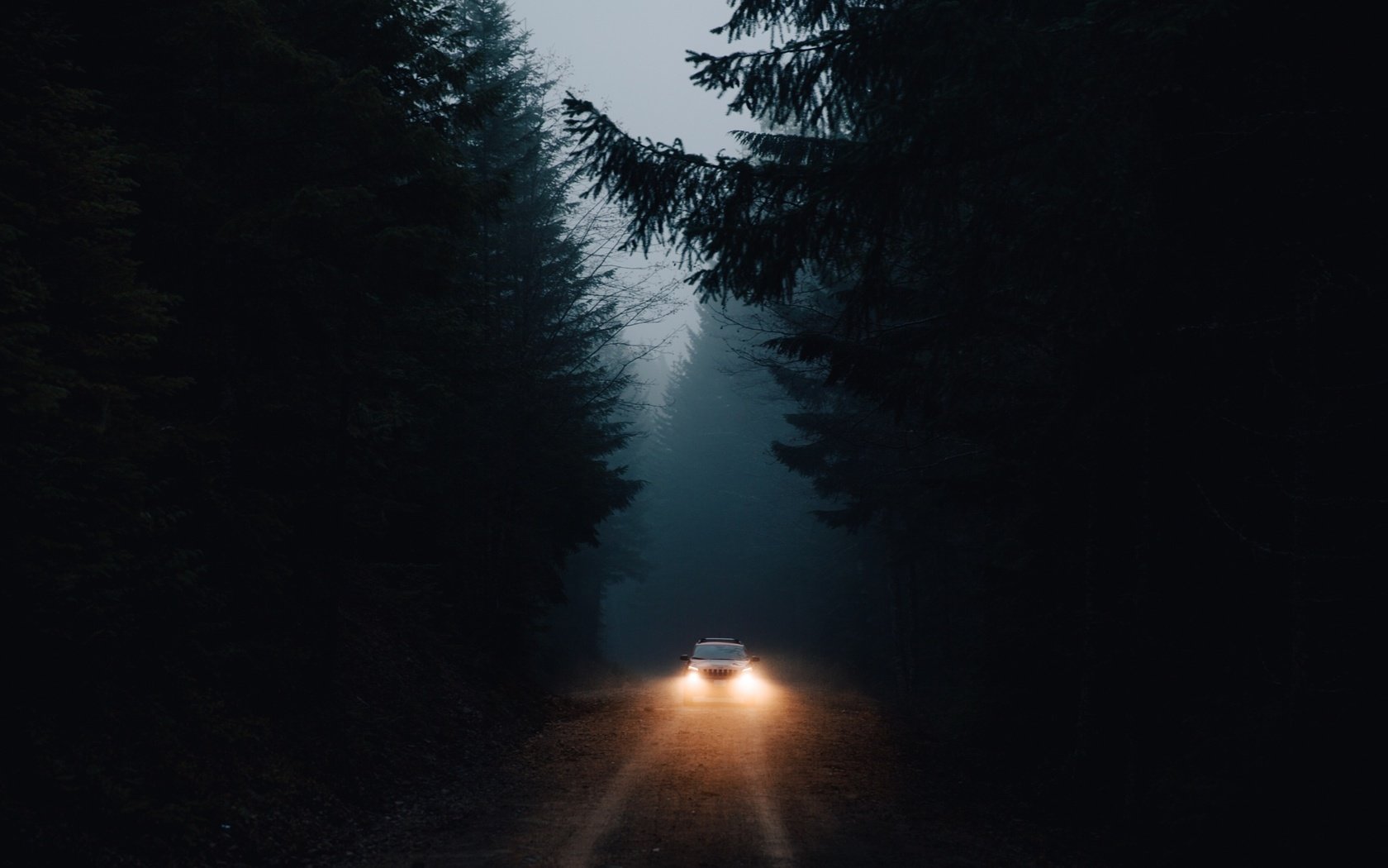 Обои свет, дорога, лес, машина, темнота, фары, light, road, forest, machine, darkness, lights разрешение 2048x1365 Загрузить