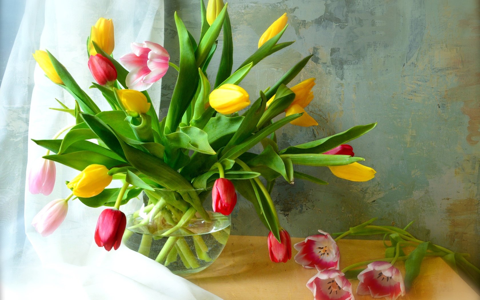 Обои цветы, бутоны, лепестки, букет, тюльпаны, ваза, тюль, flowers, buds, petals, bouquet, tulips, vase, tulle разрешение 2000x1404 Загрузить